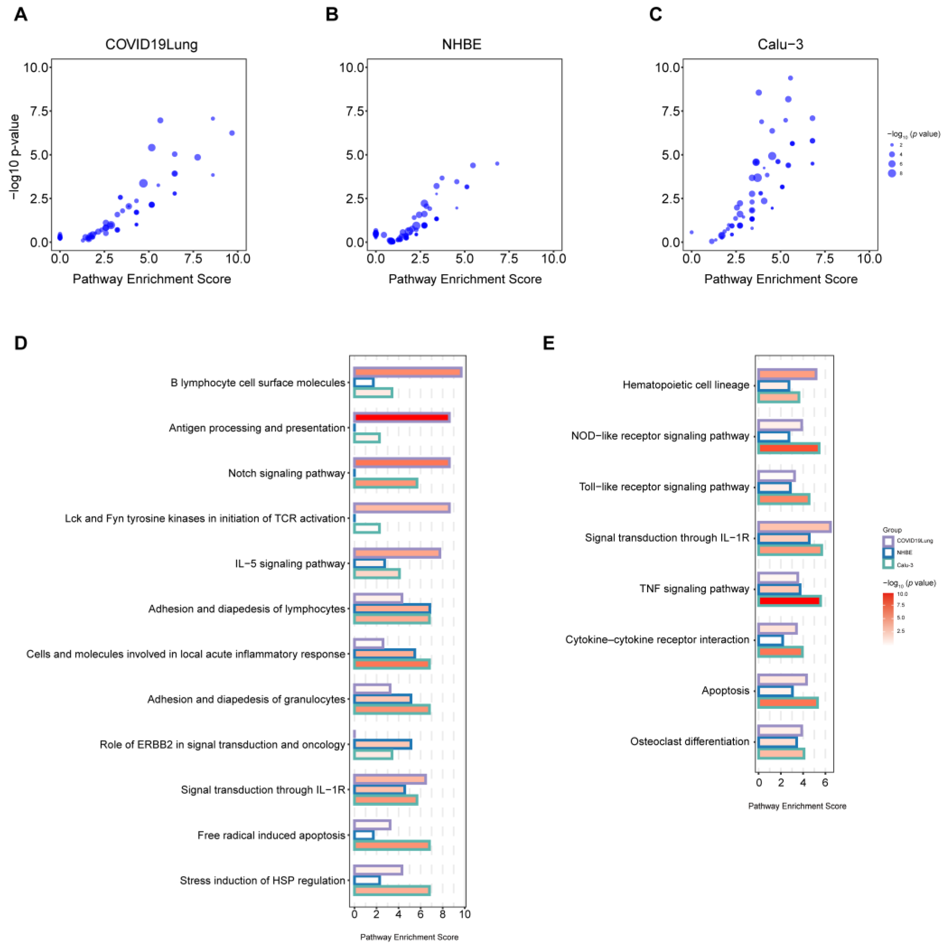 Viruses 16 00100 g008 Viruses 16 00100 g008