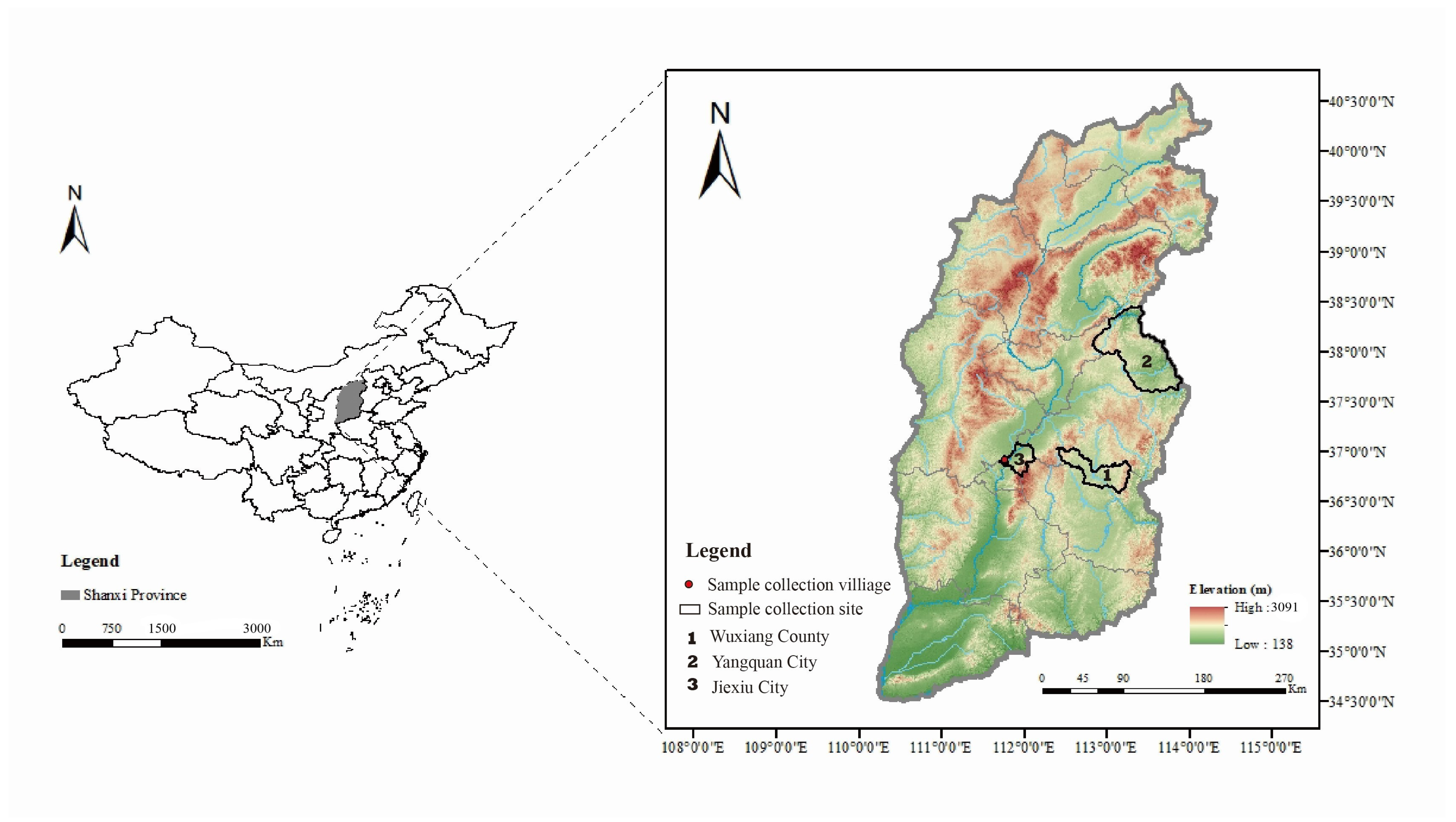 Viruses 16 00103 g001