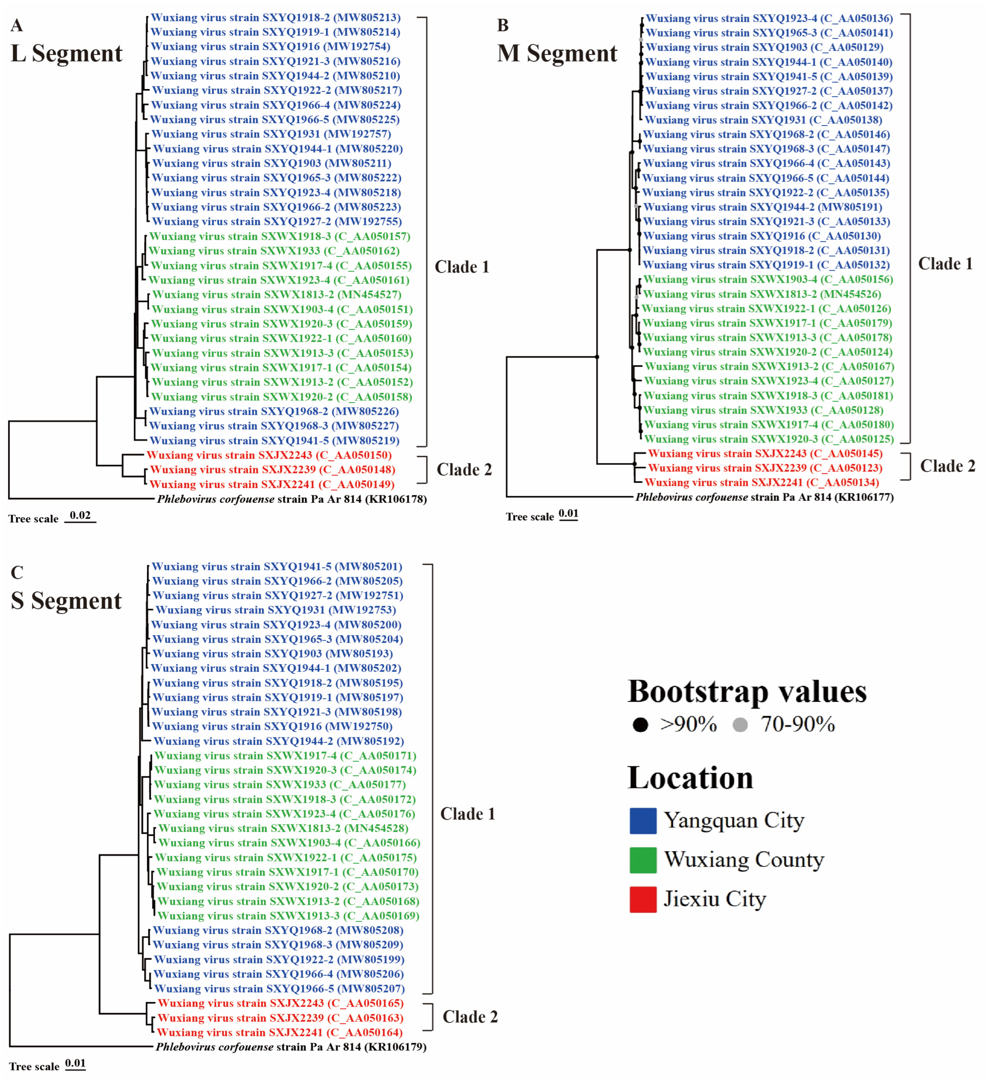Viruses 16 00103 g003