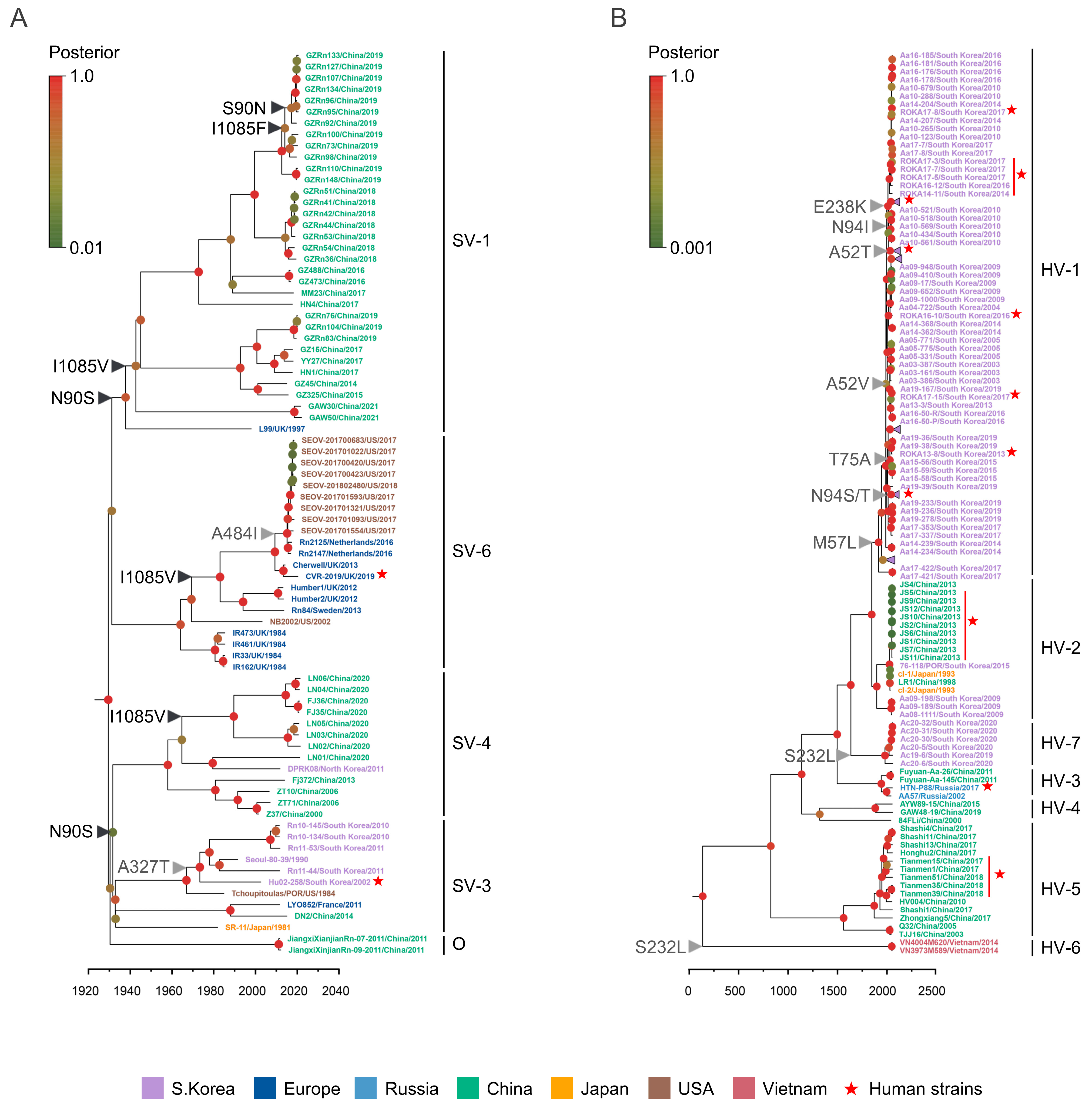 Viruses 16 00105 g001