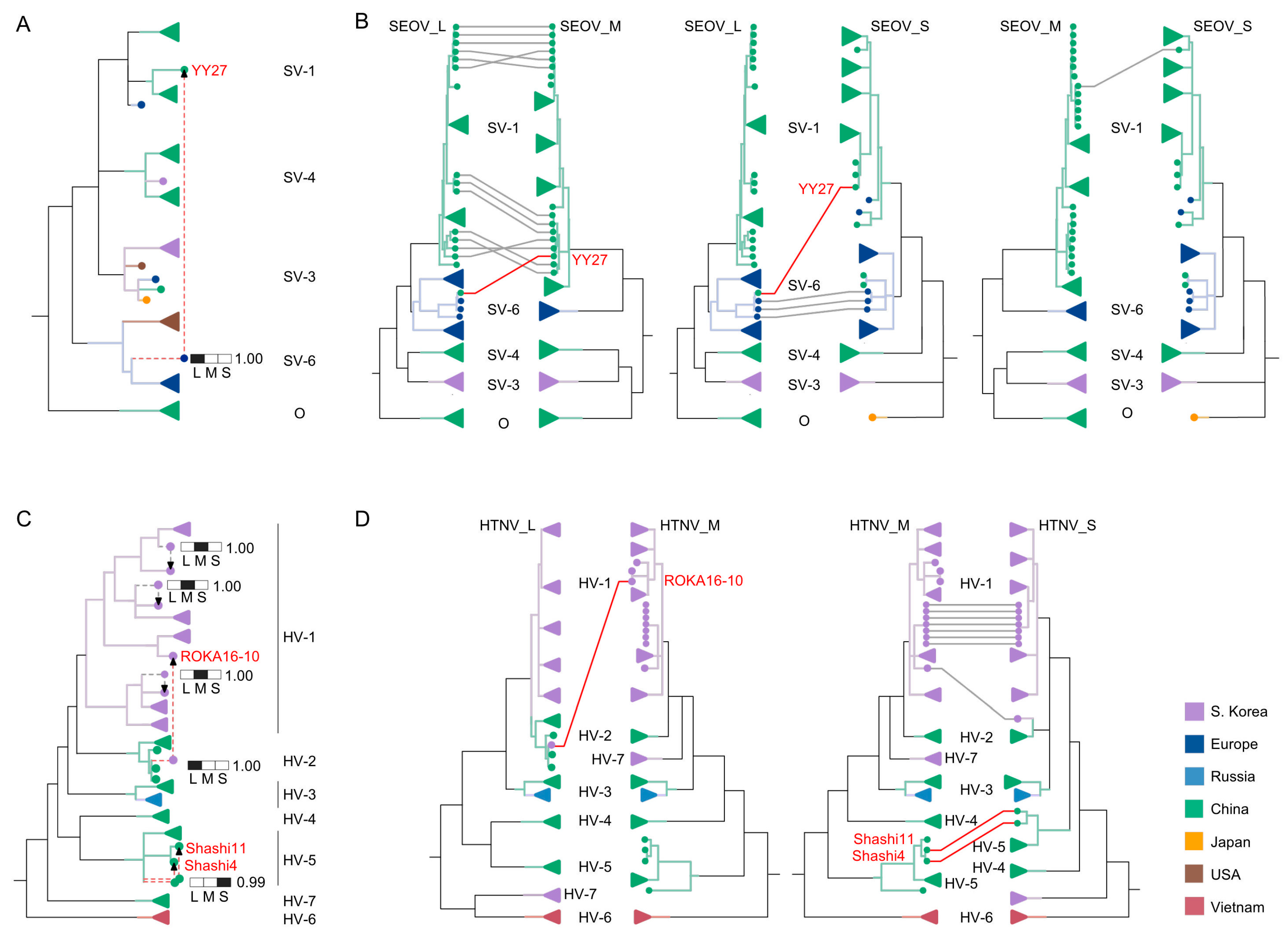 Viruses 16 00105 g002