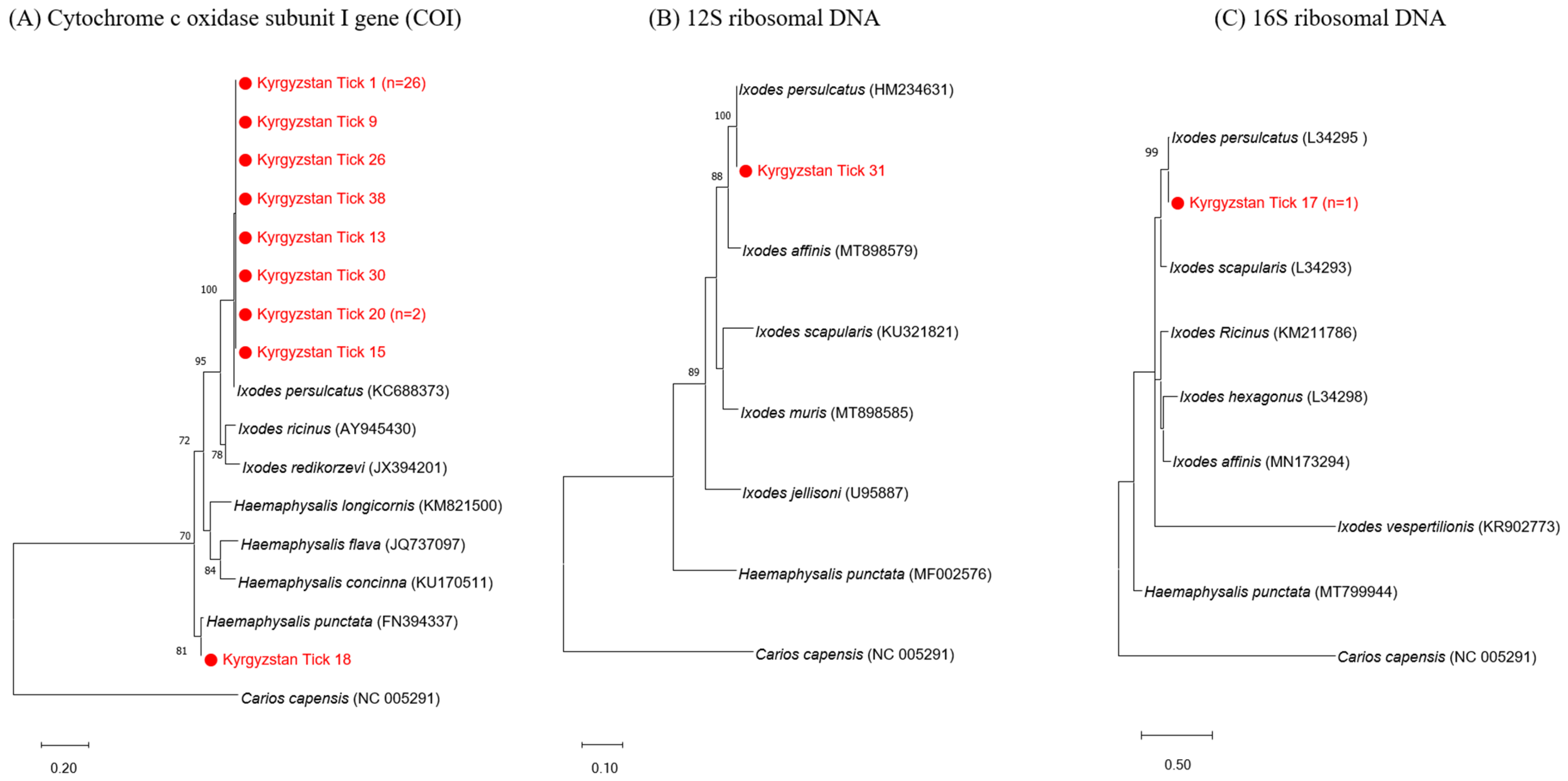 Viruses 16 00107 g002 Viruses 16 00107 g002