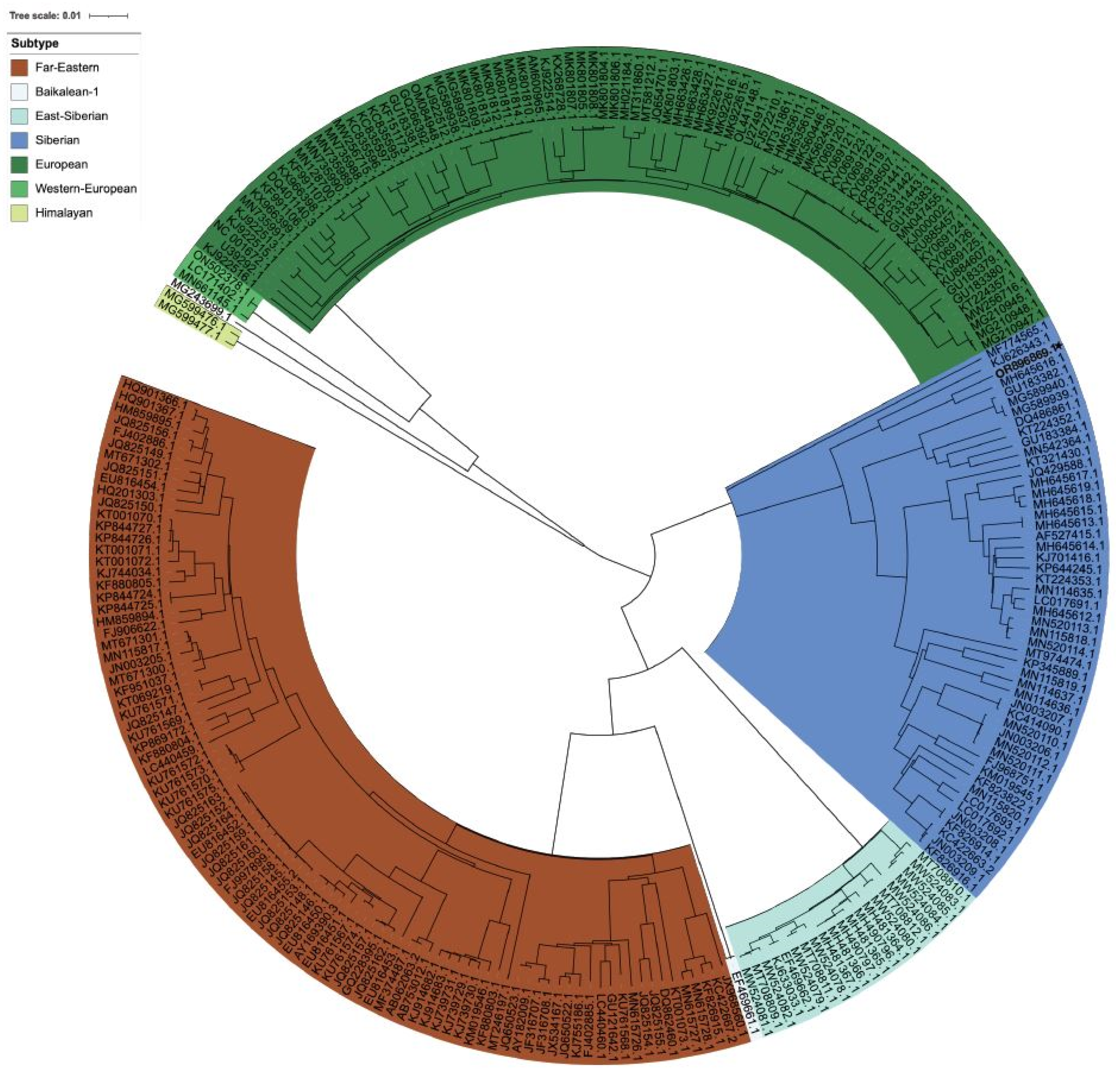 Viruses 16 00107 g004 Viruses 16 00107 g004