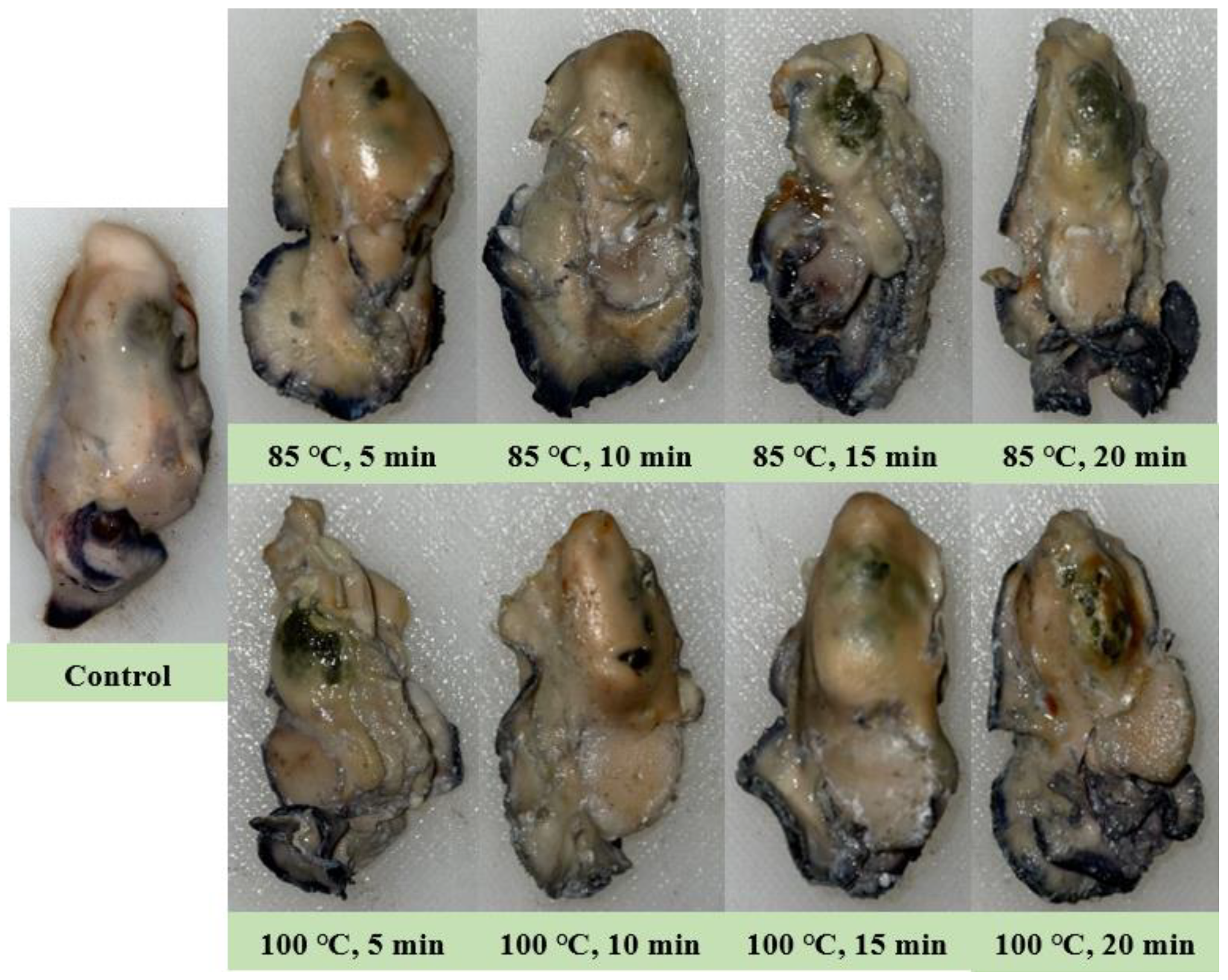 Viruses 16 00110 g002