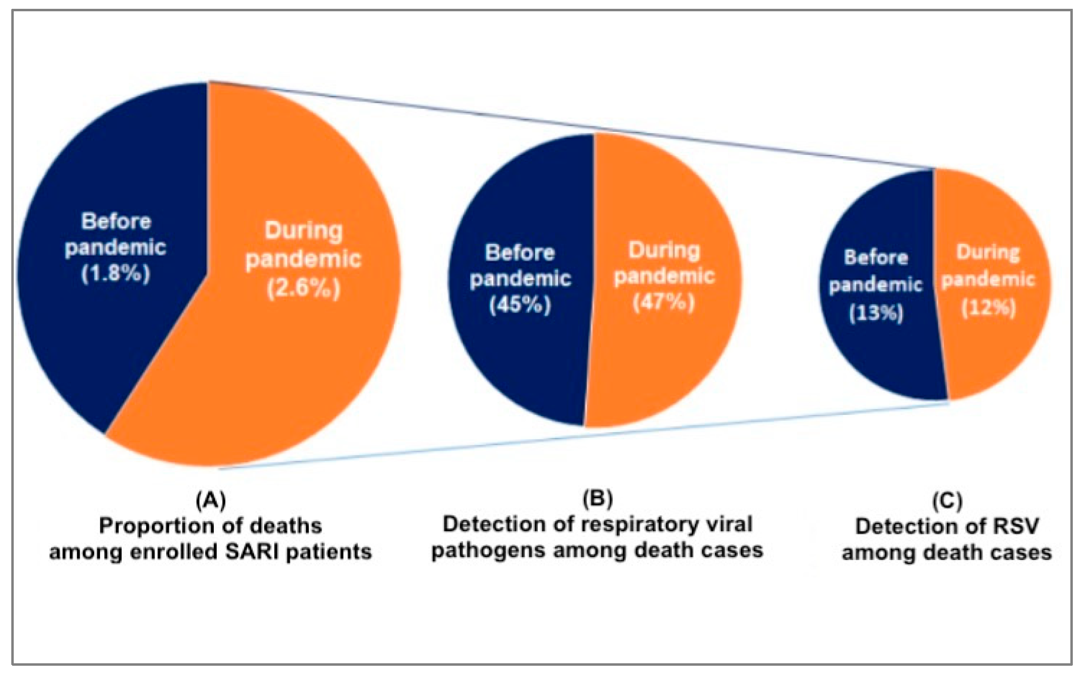 Viruses 16 00111 g002