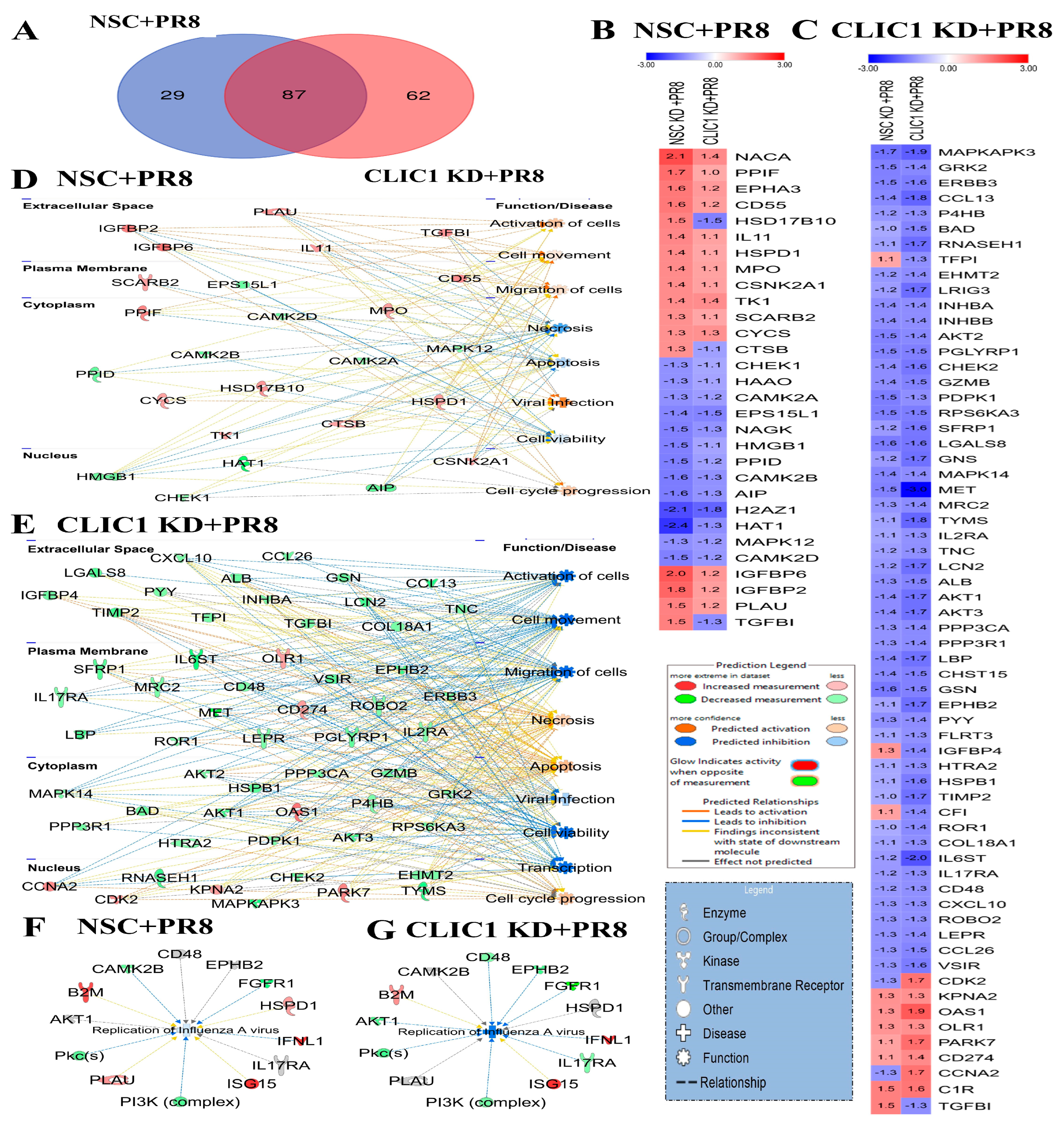 Viruses 16 00129 g005 Viruses 16 00129 g005