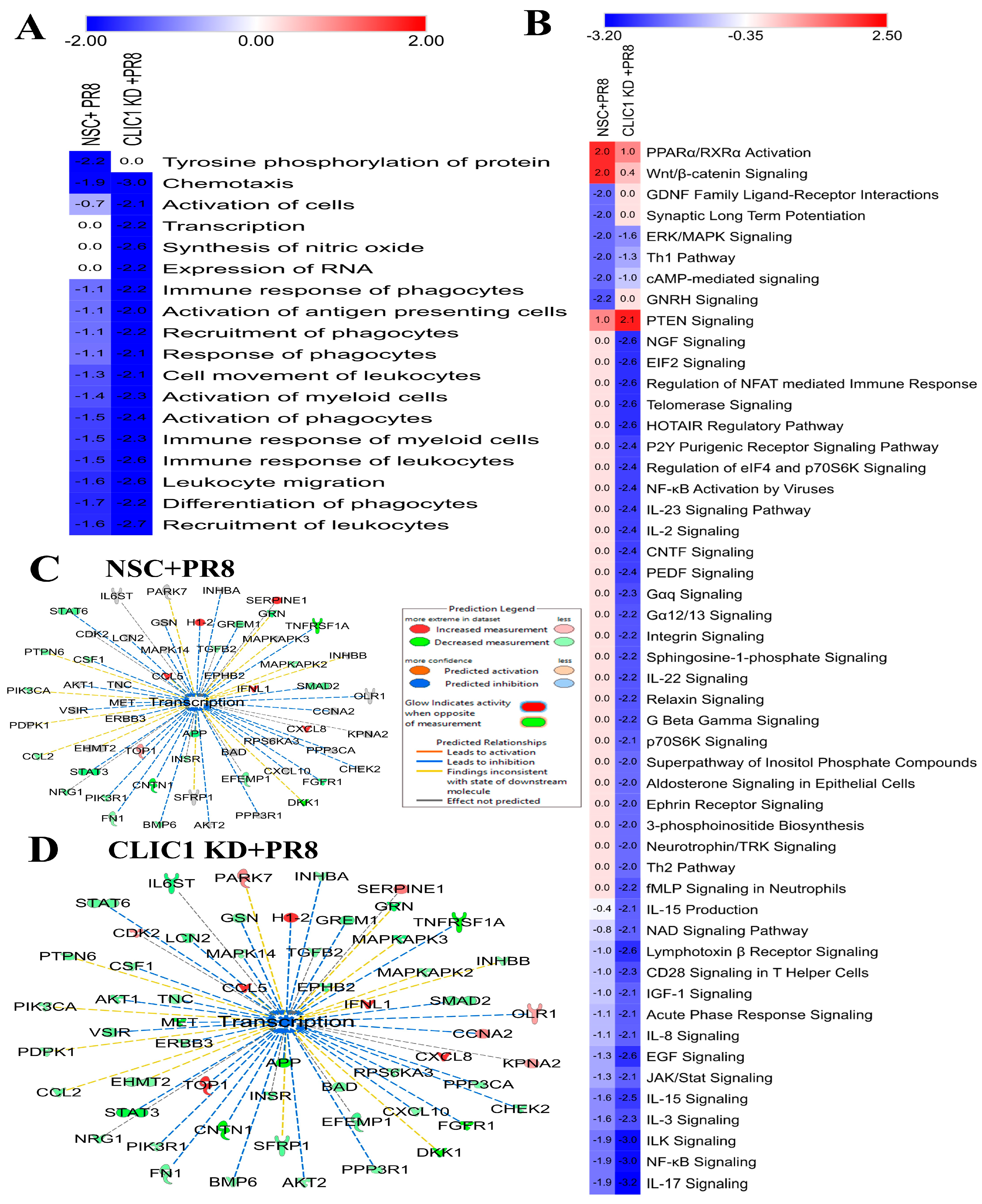 Viruses 16 00129 g006 Viruses 16 00129 g006