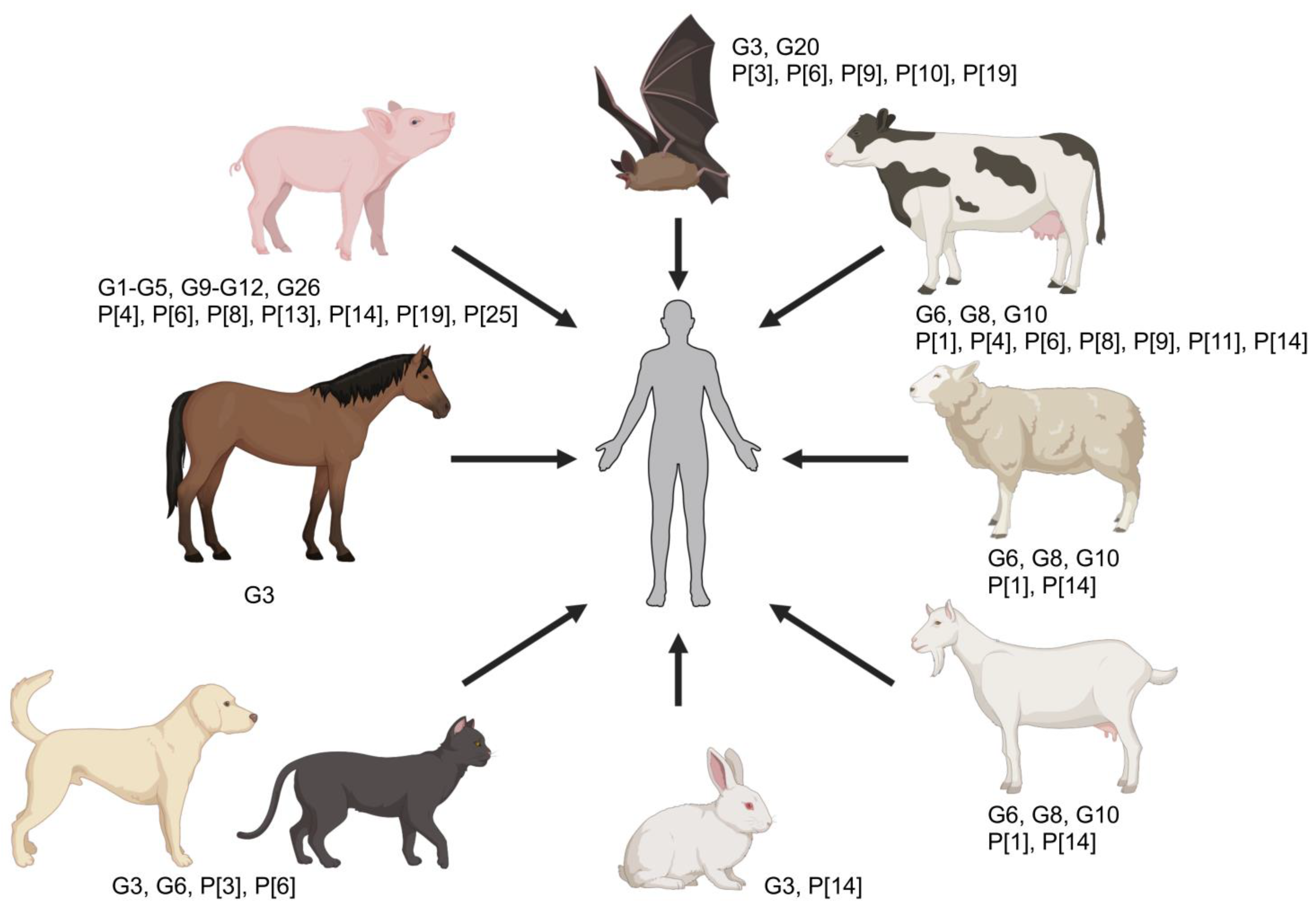 Viruses 16 00130 g003