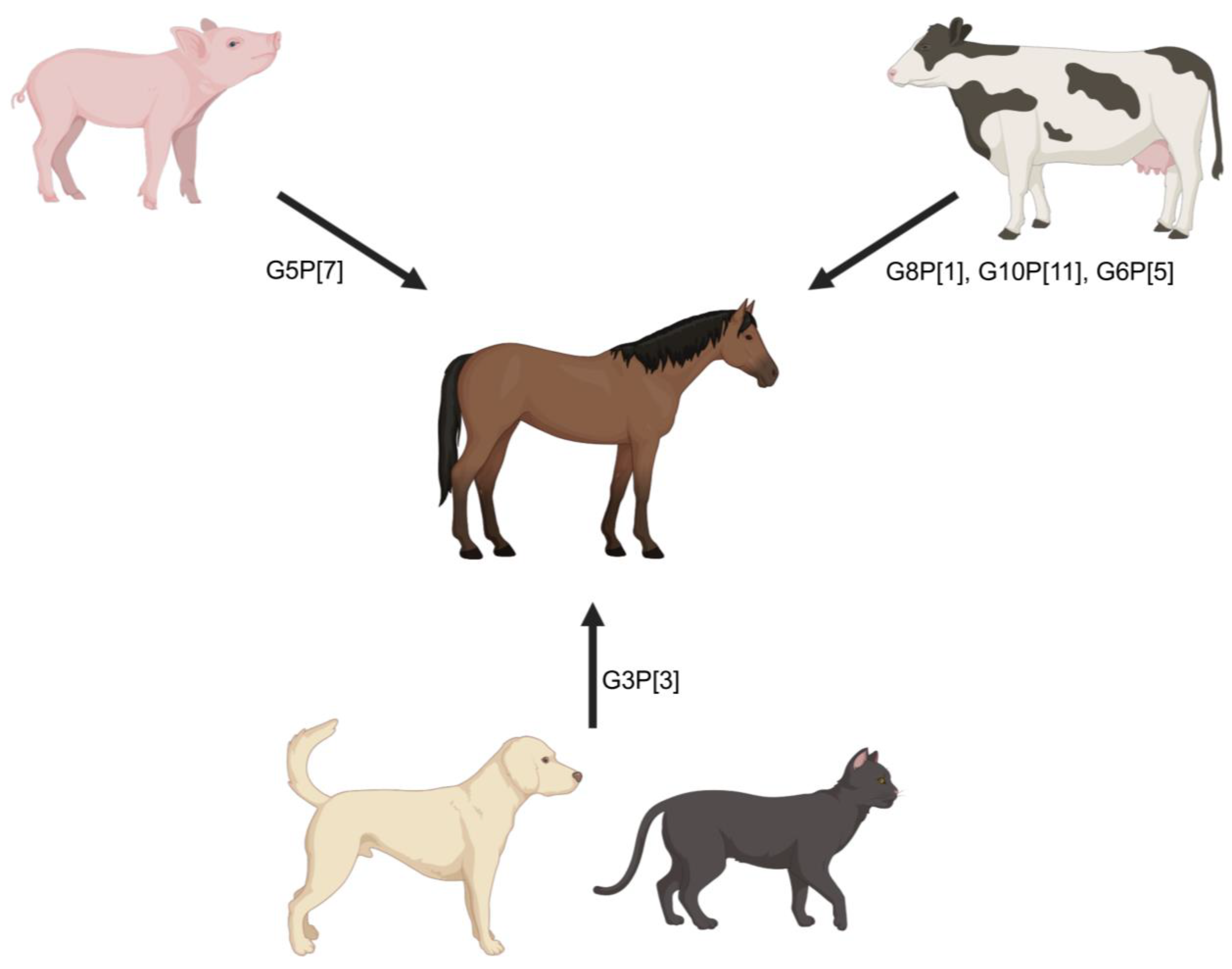 Viruses 16 00130 g004