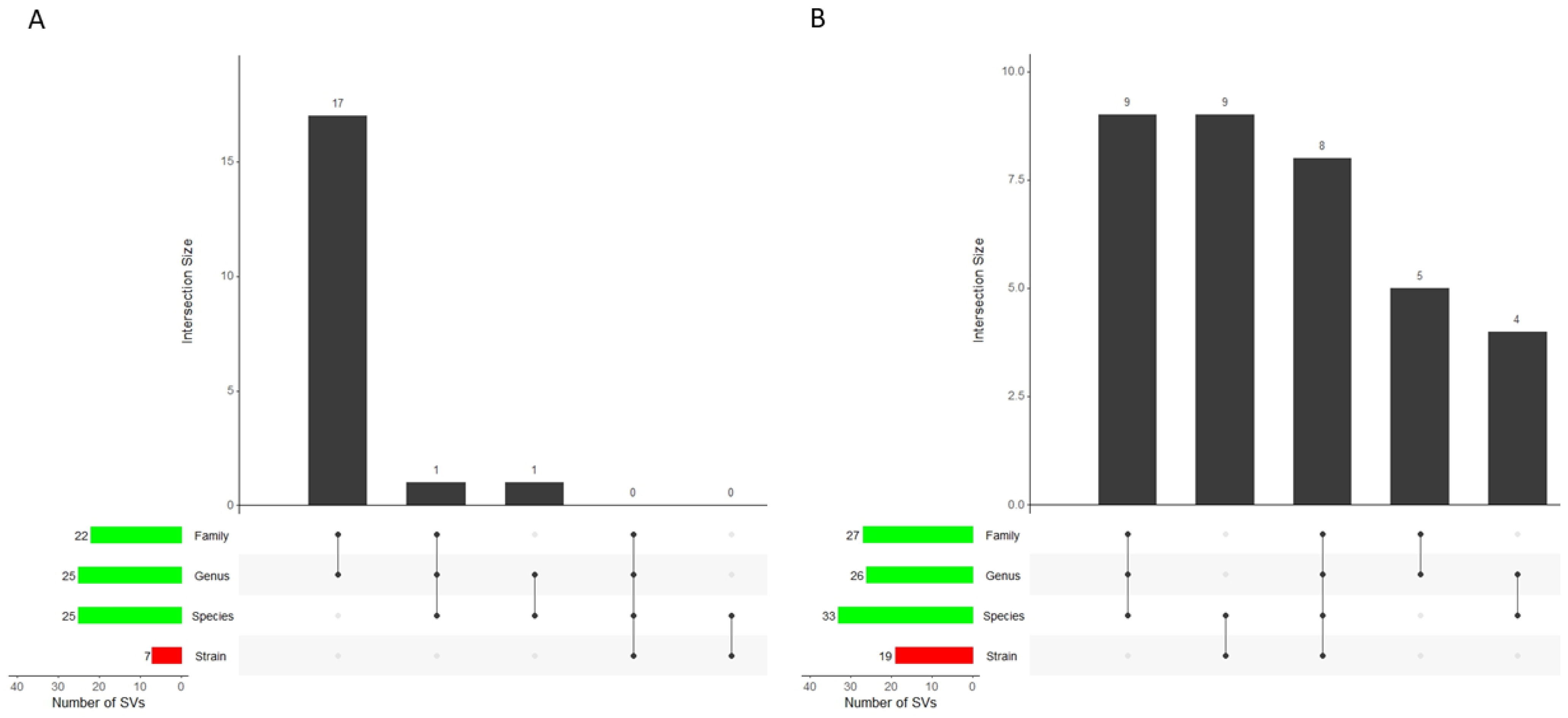 Viruses 16 00134 g003