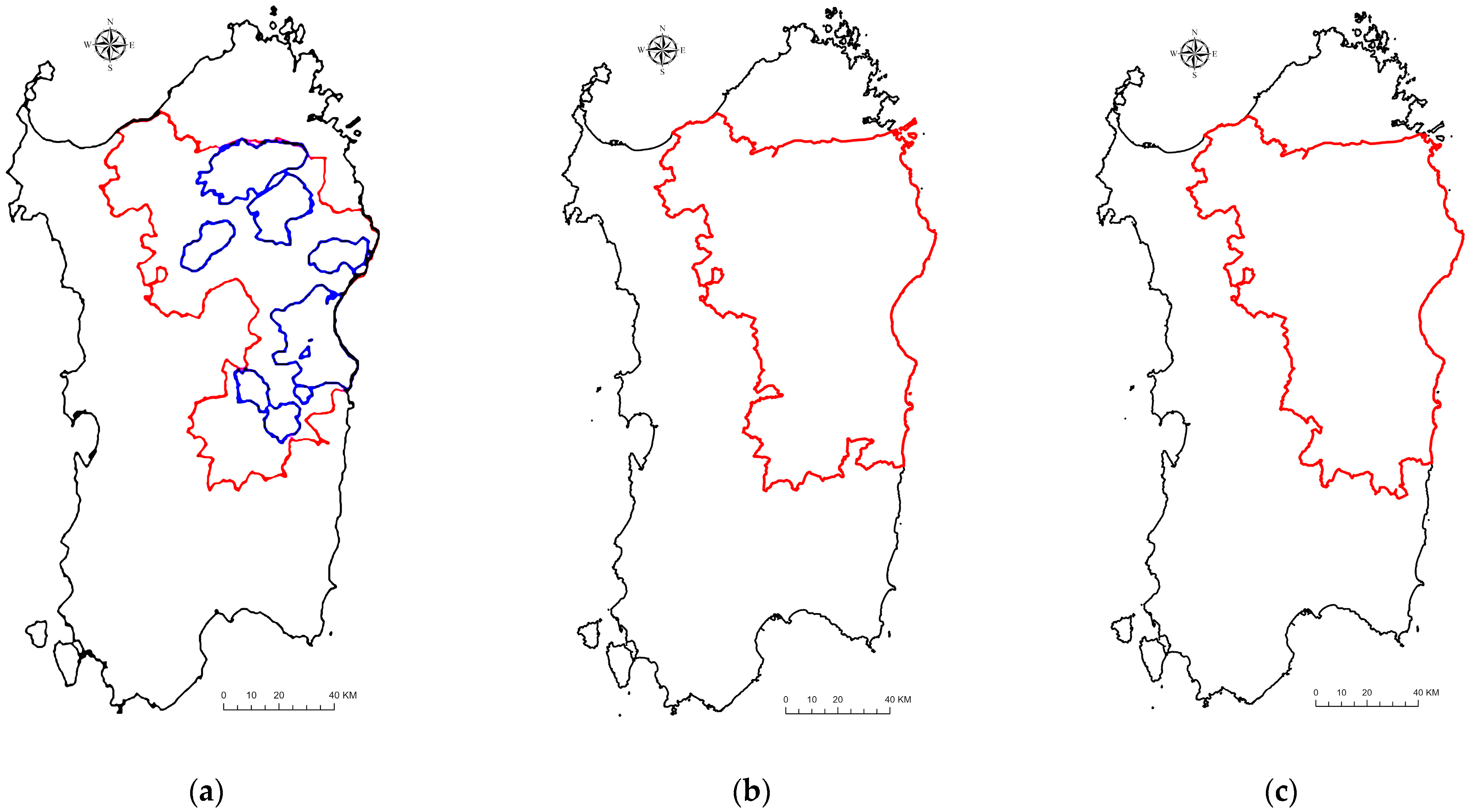 Viruses 16 00136 g001a