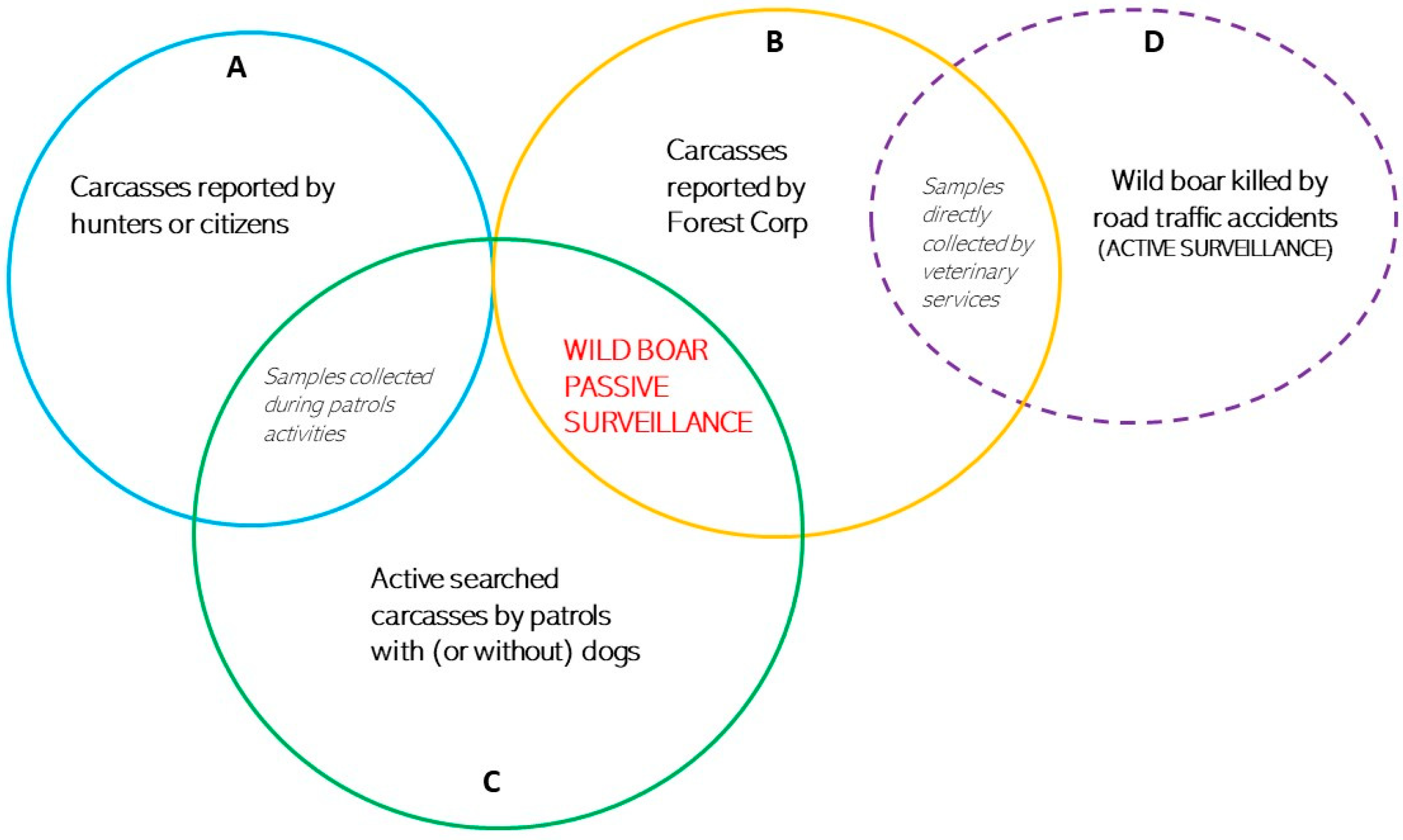 Viruses 16 00136 g002