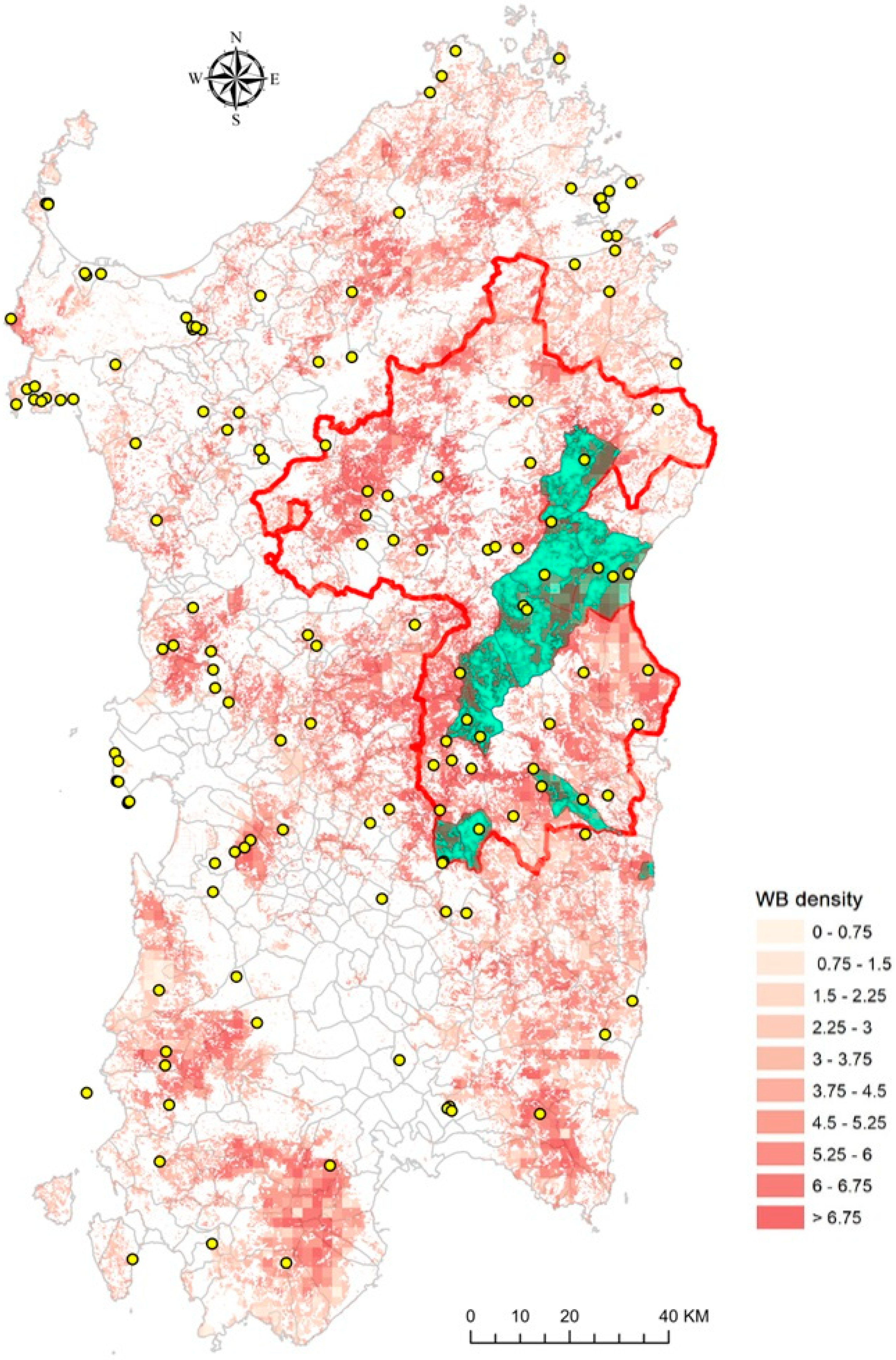Viruses 16 00136 g007
