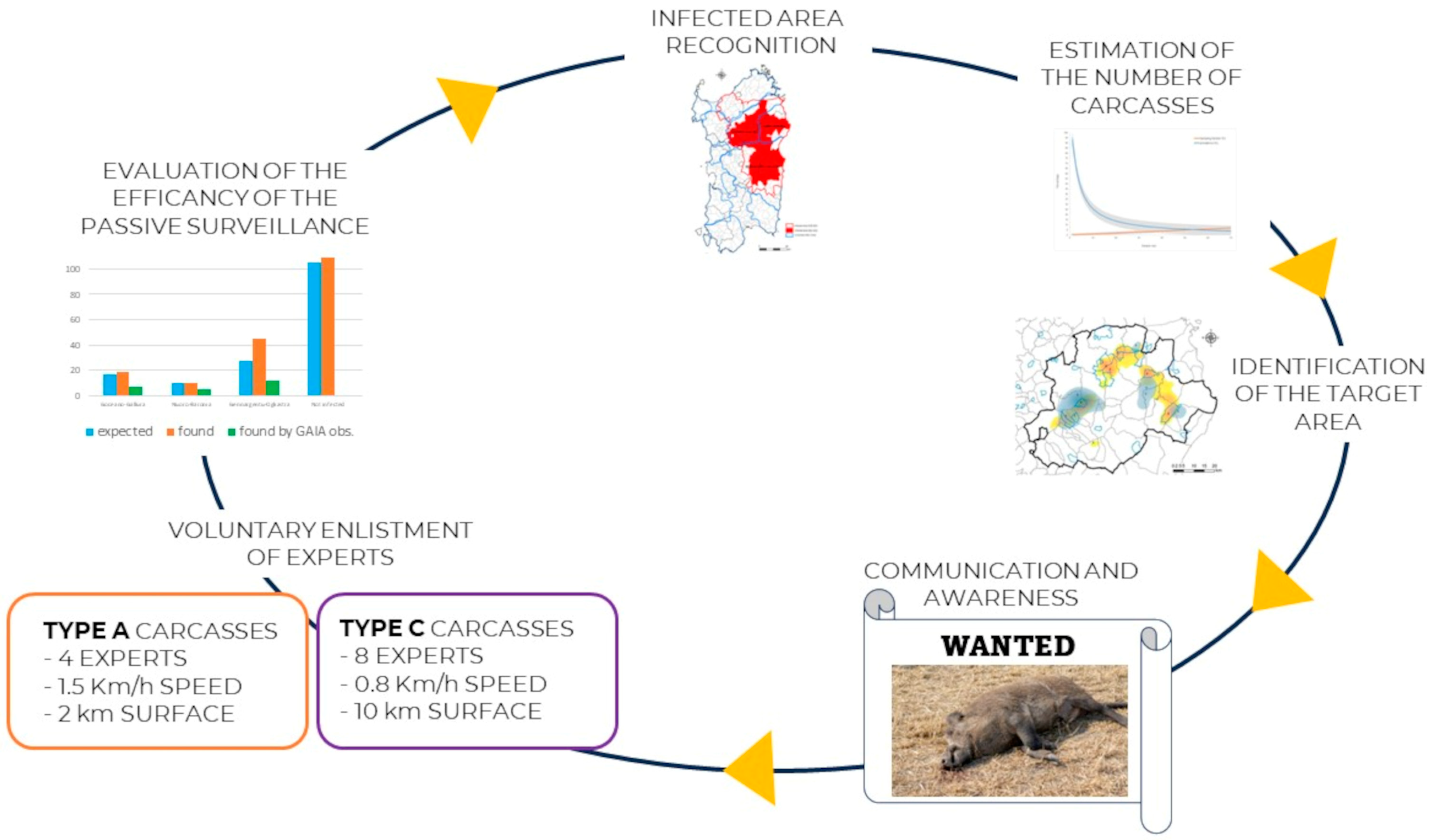 Viruses 16 00136 g008