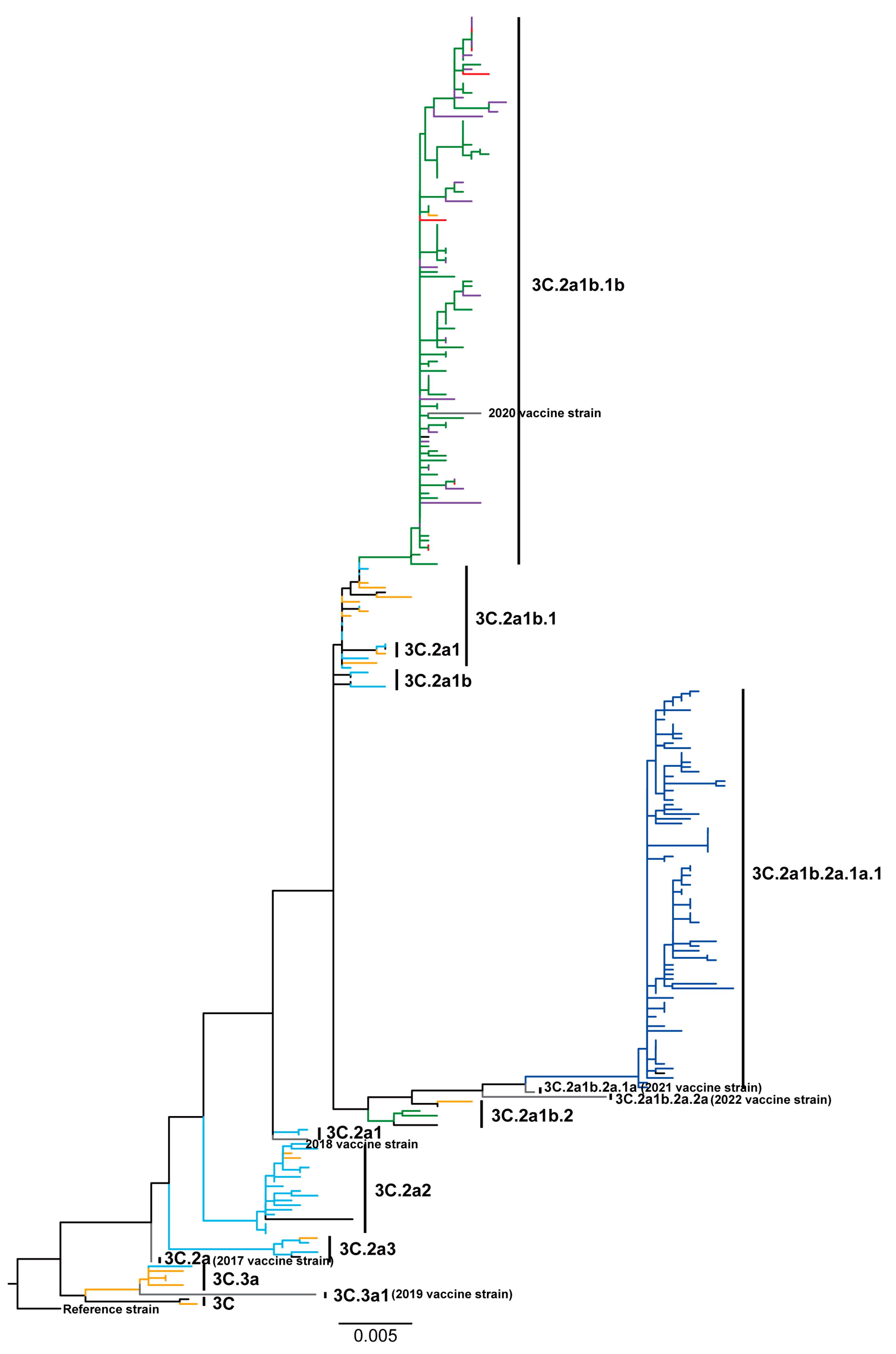 Viruses 16 00138 g002