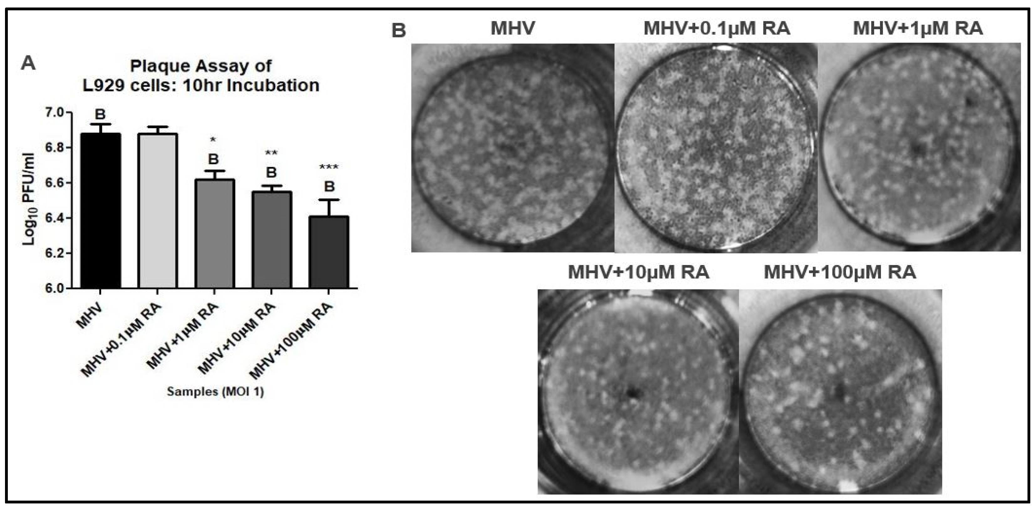 Viruses 16 00140 g002