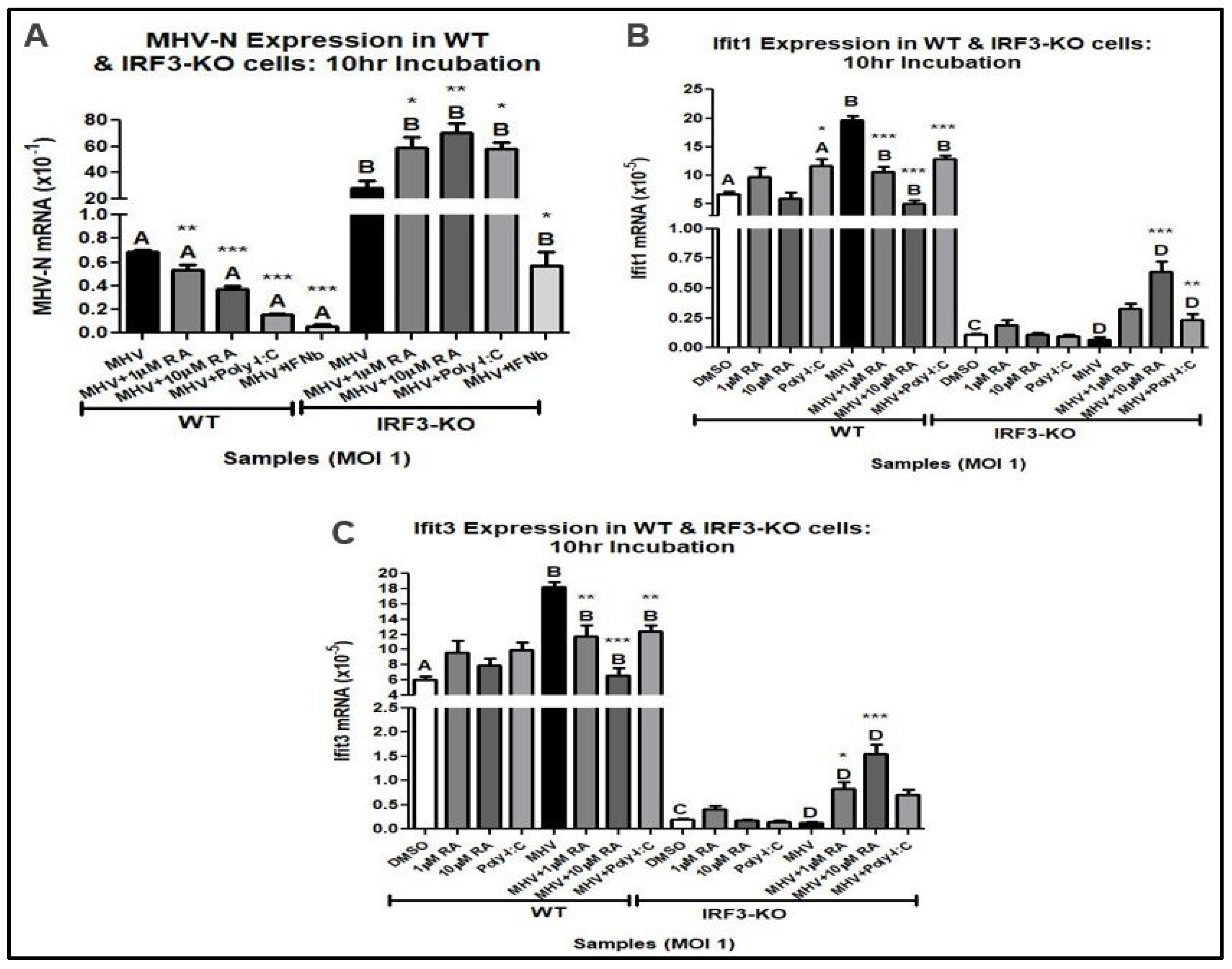 Viruses 16 00140 g003