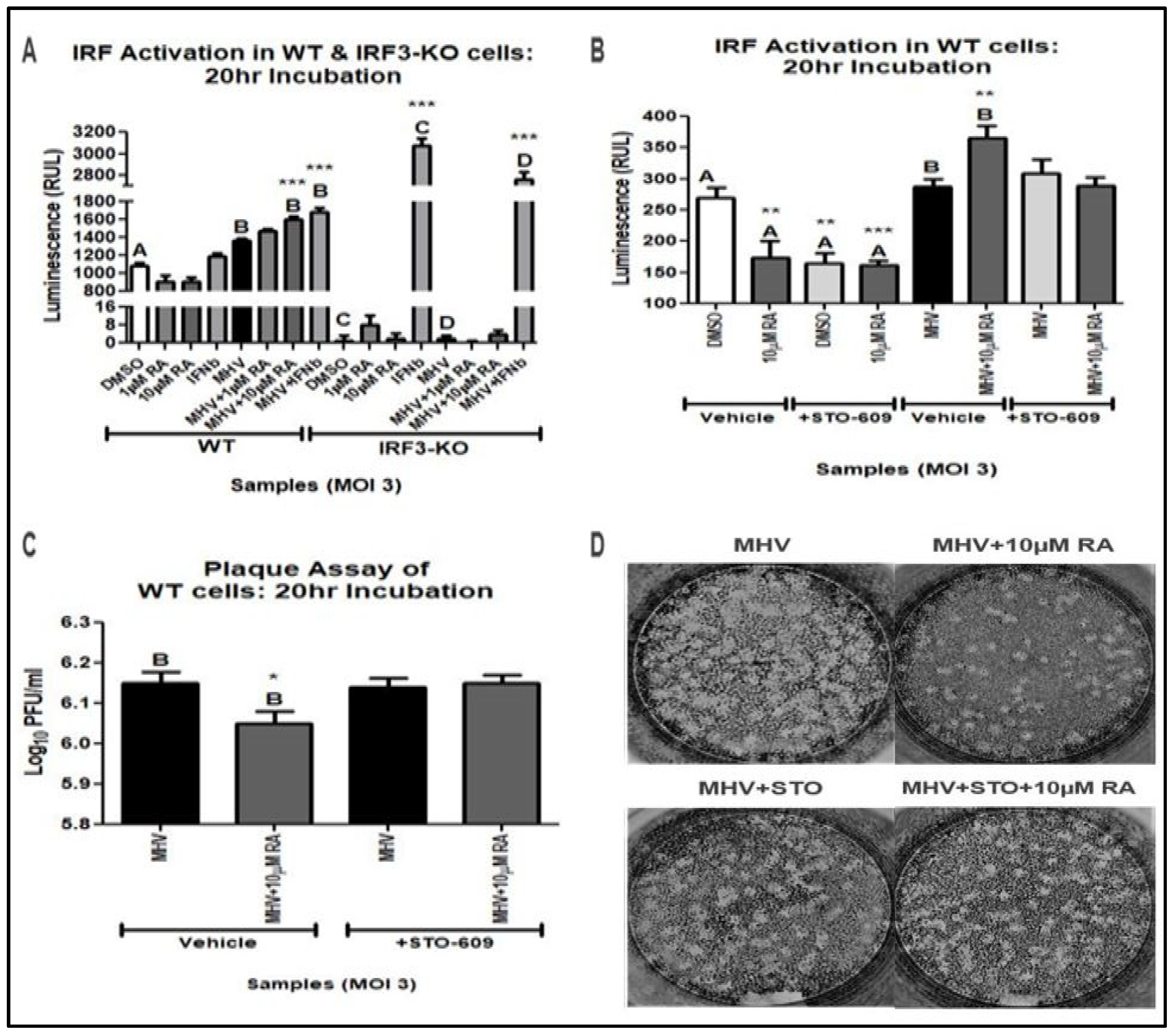 Viruses 16 00140 g005