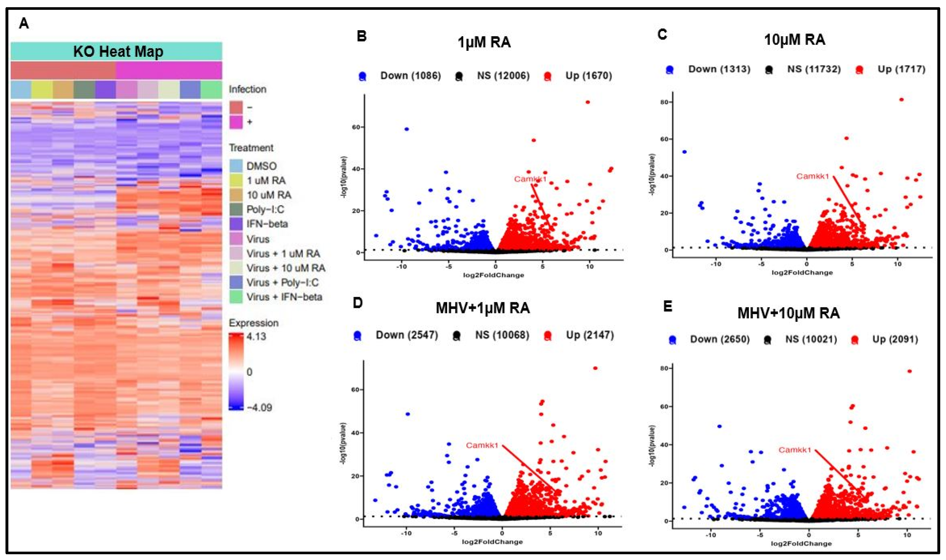 Viruses 16 00140 g007