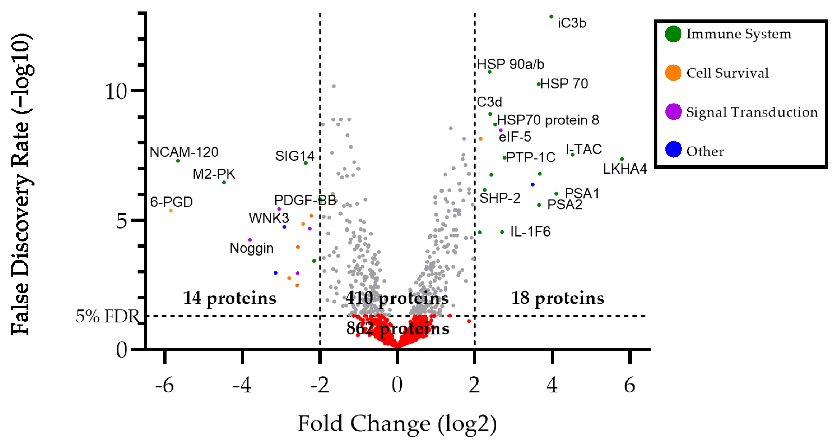 Viruses 16 00141 g001