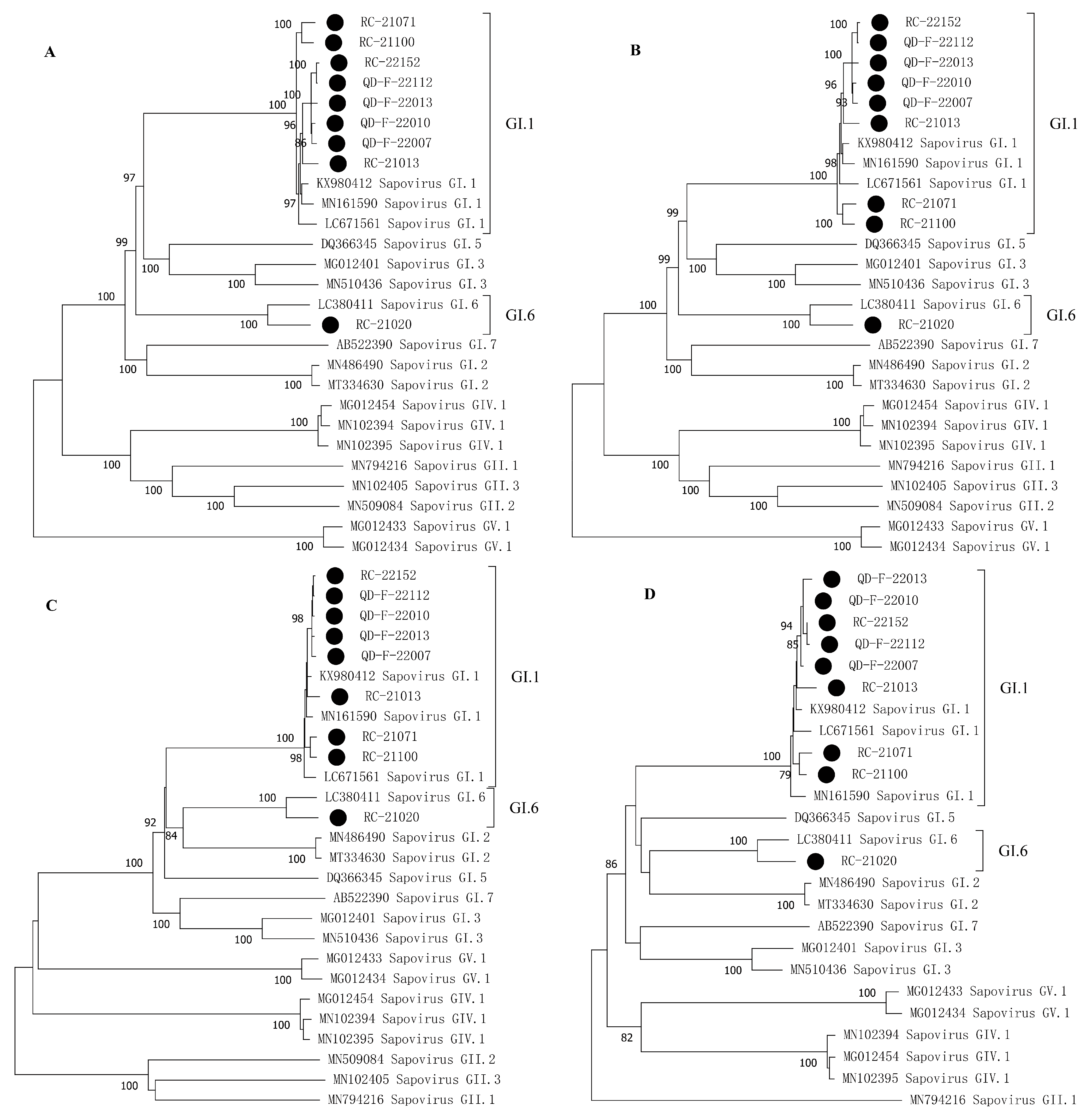 Viruses 16 00146 g003