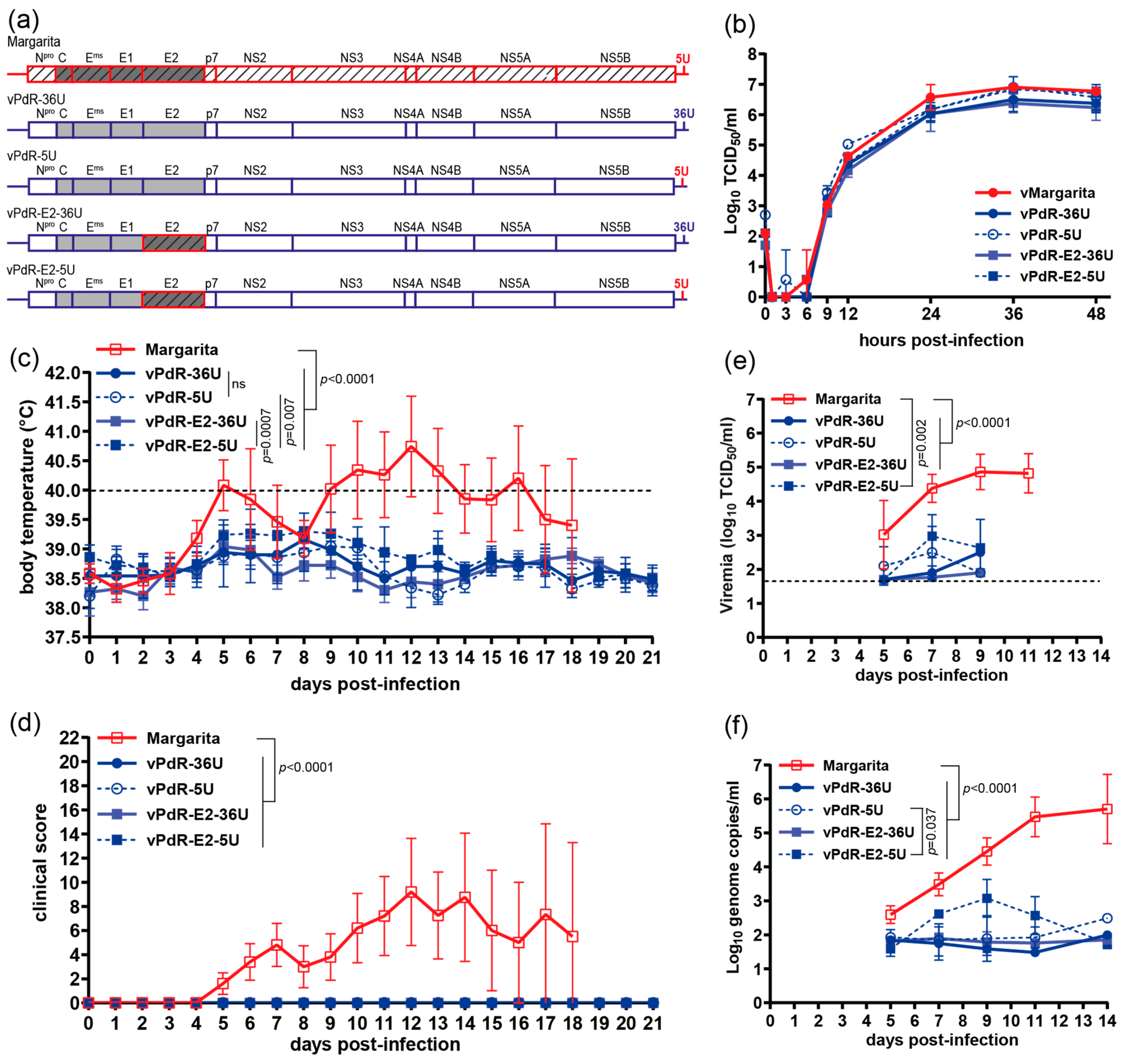 Viruses 16 00147 g004