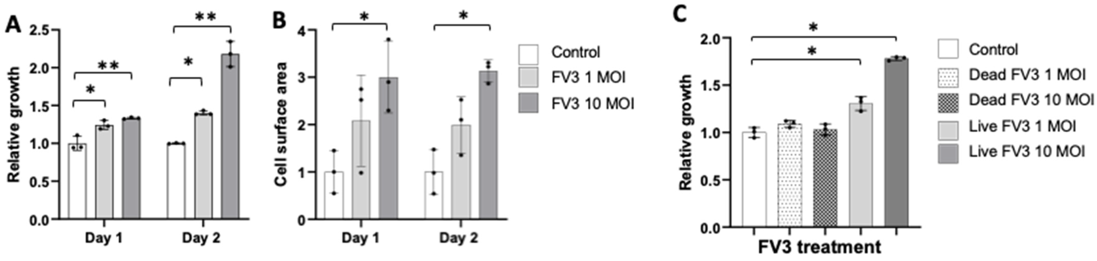 Viruses 16 00154 g004