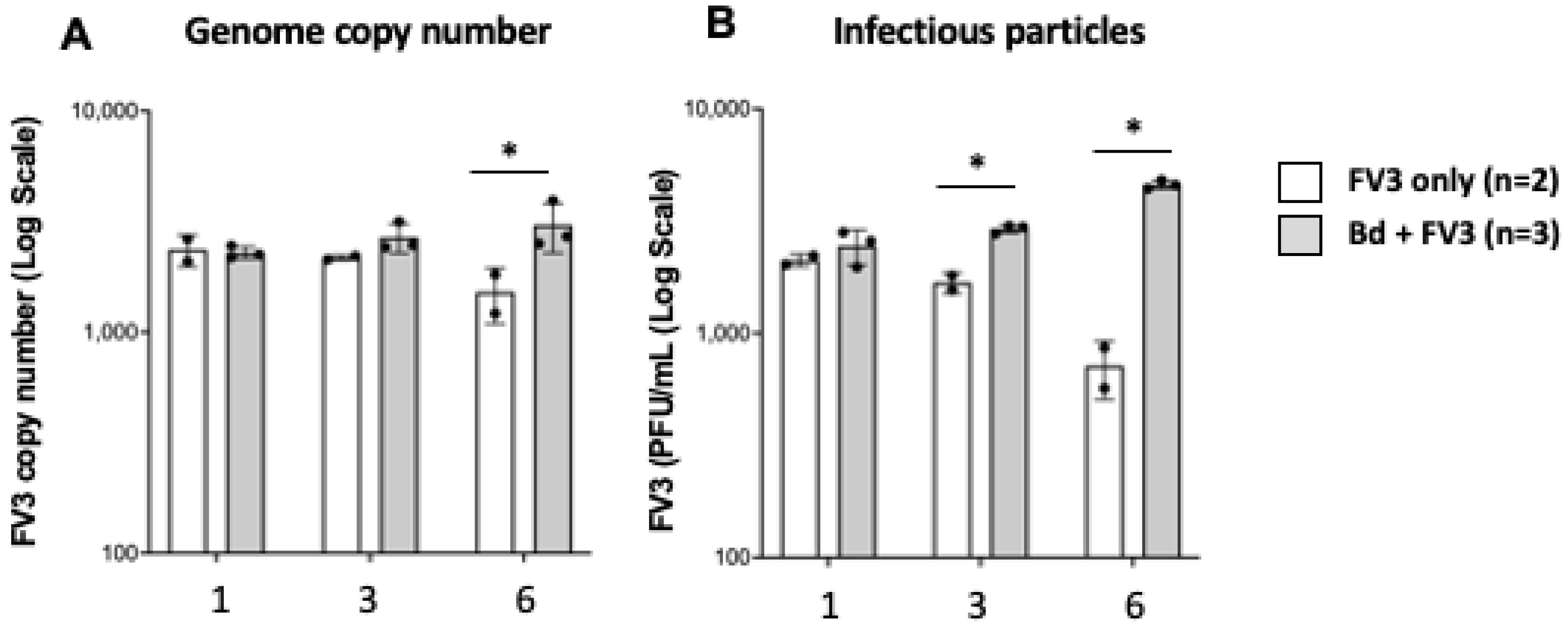 Viruses 16 00154 g007