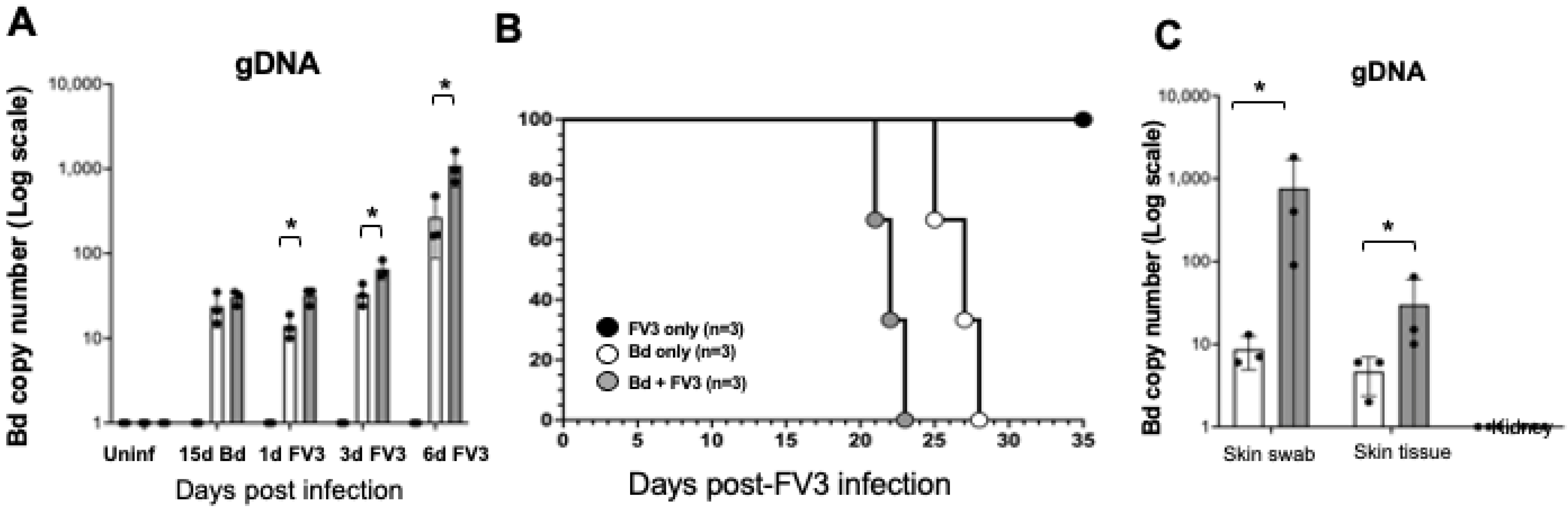 Viruses 16 00154 g008