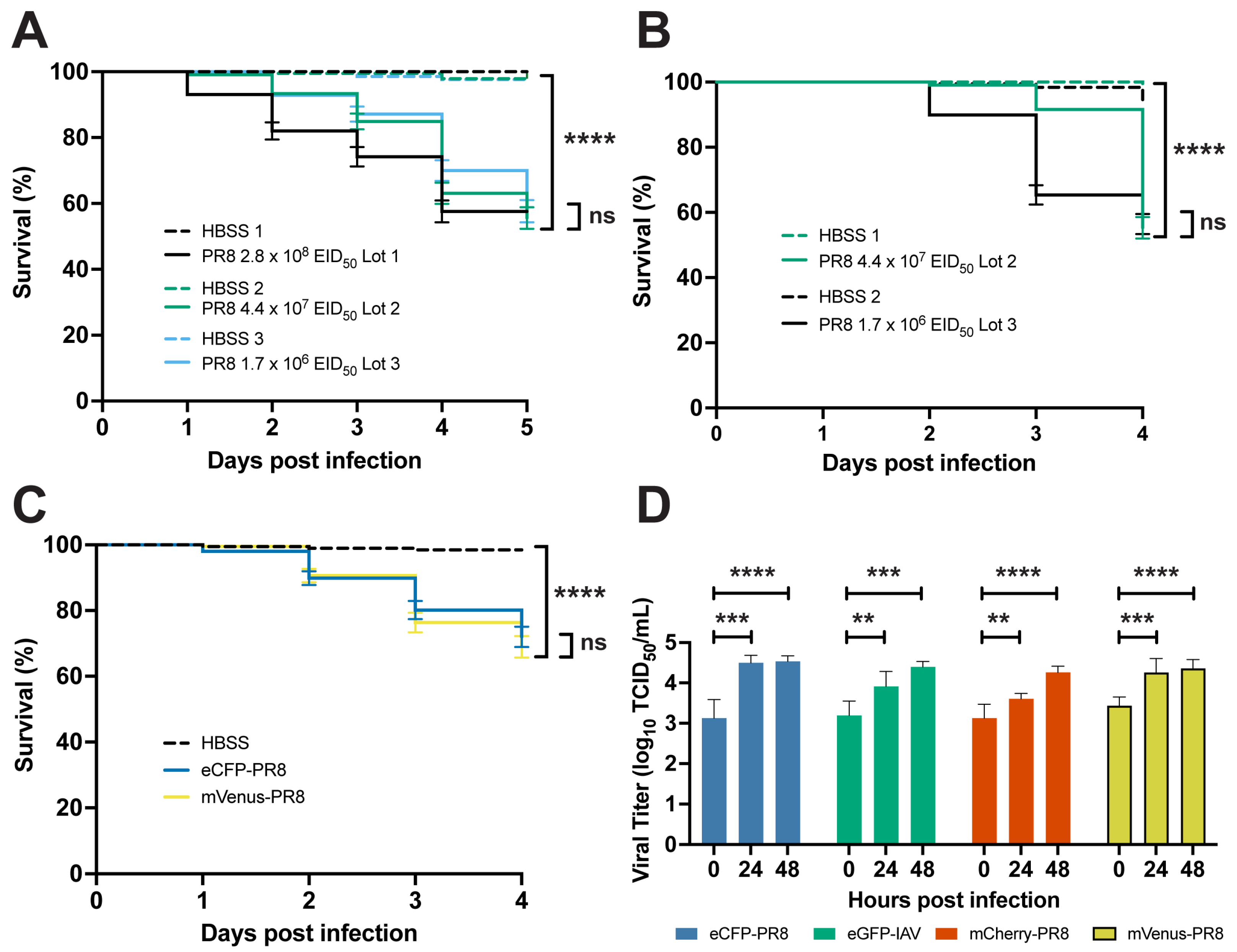 Viruses 16 00155 g001