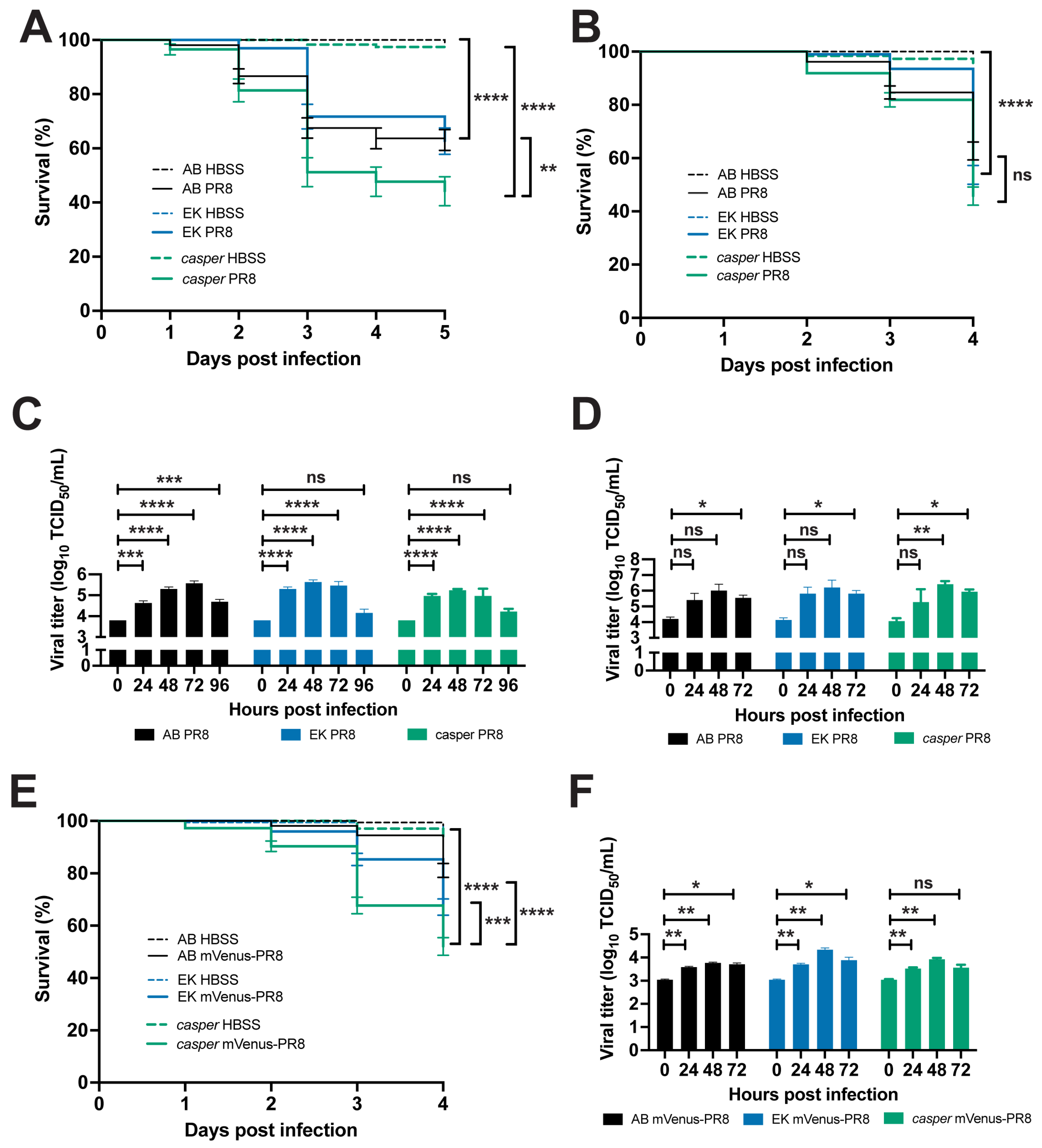 Viruses 16 00155 g002