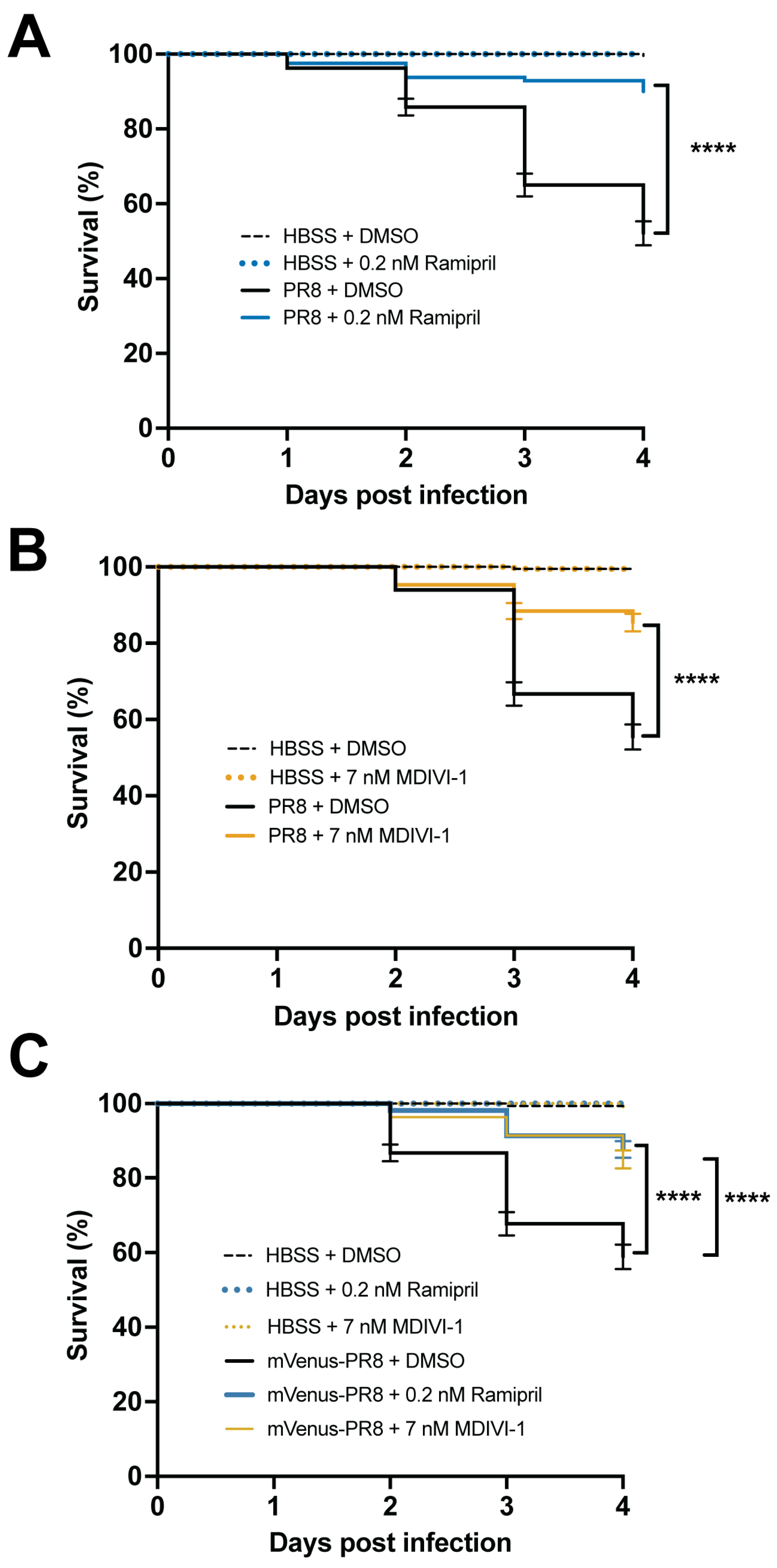 Viruses 16 00155 g004