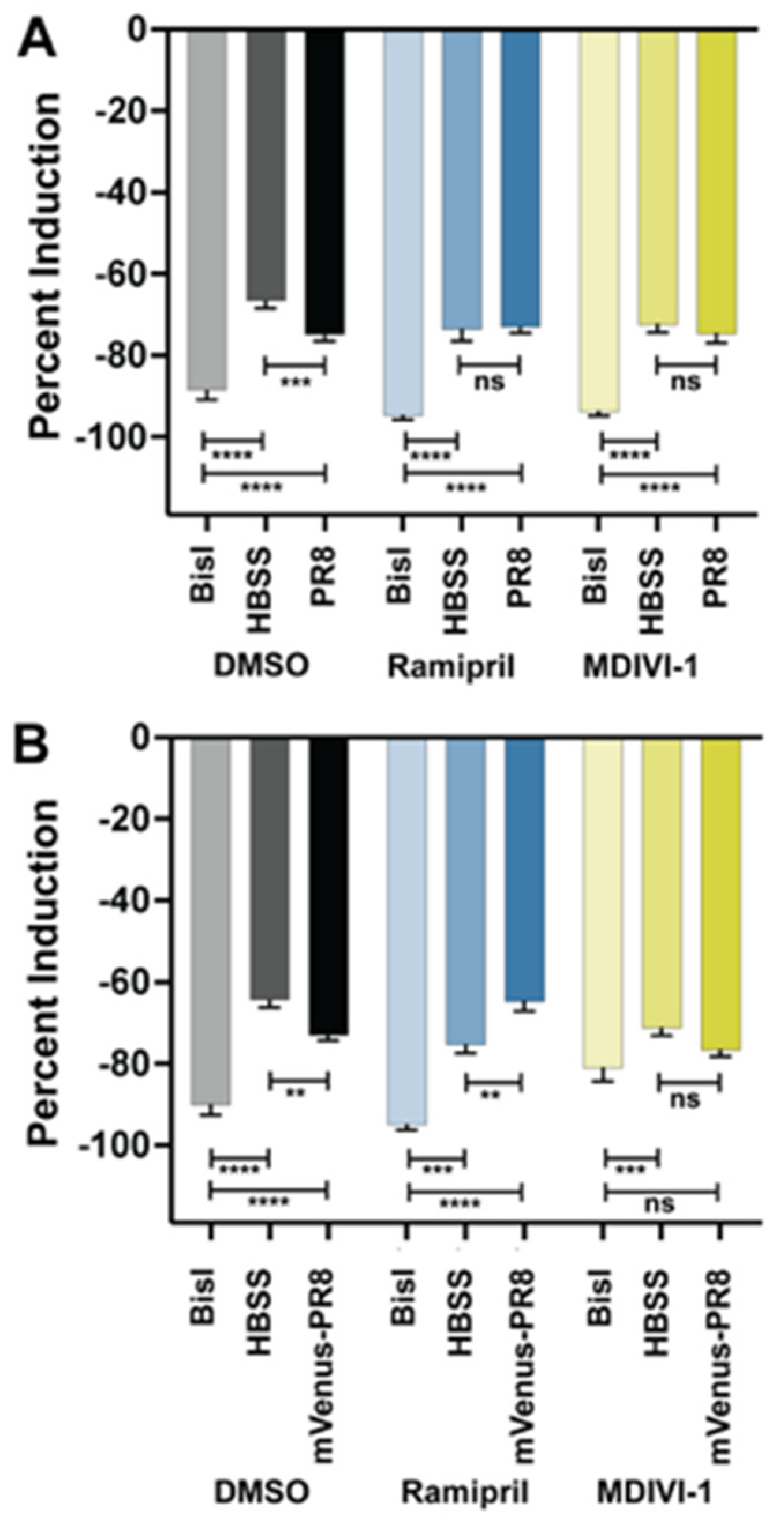 Viruses 16 00155 g006