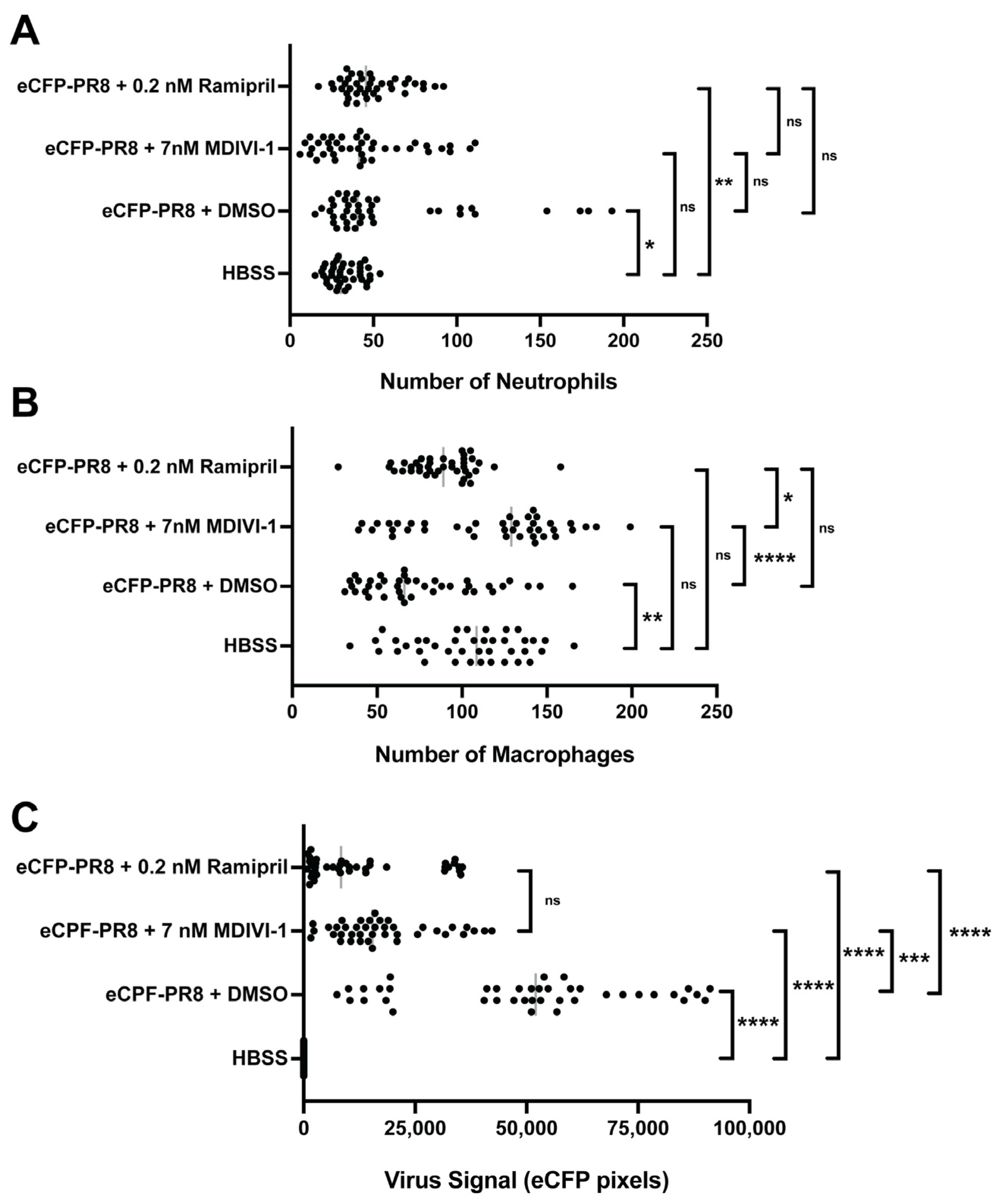 Viruses 16 00155 g007