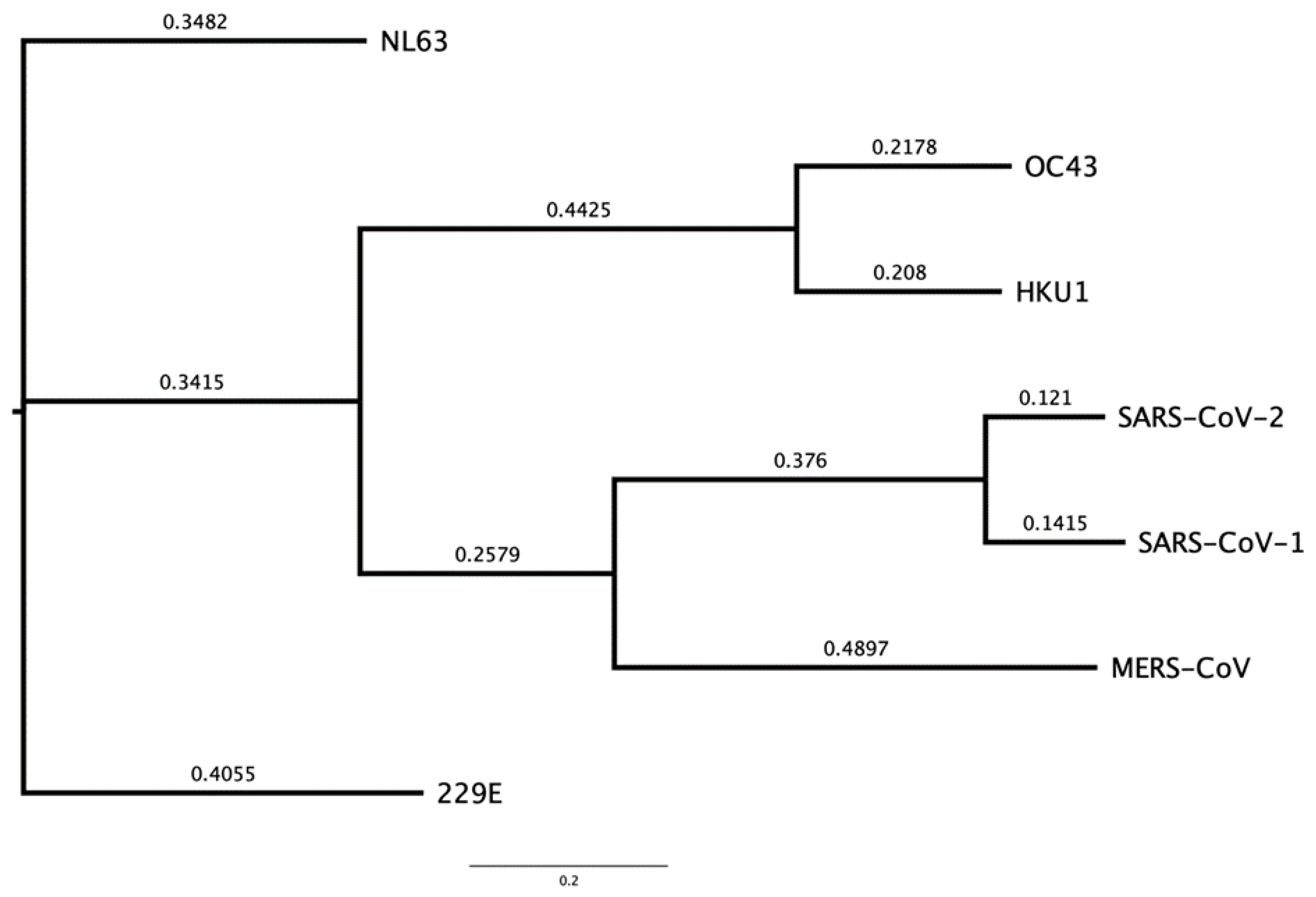 Viruses 16 00156 g001