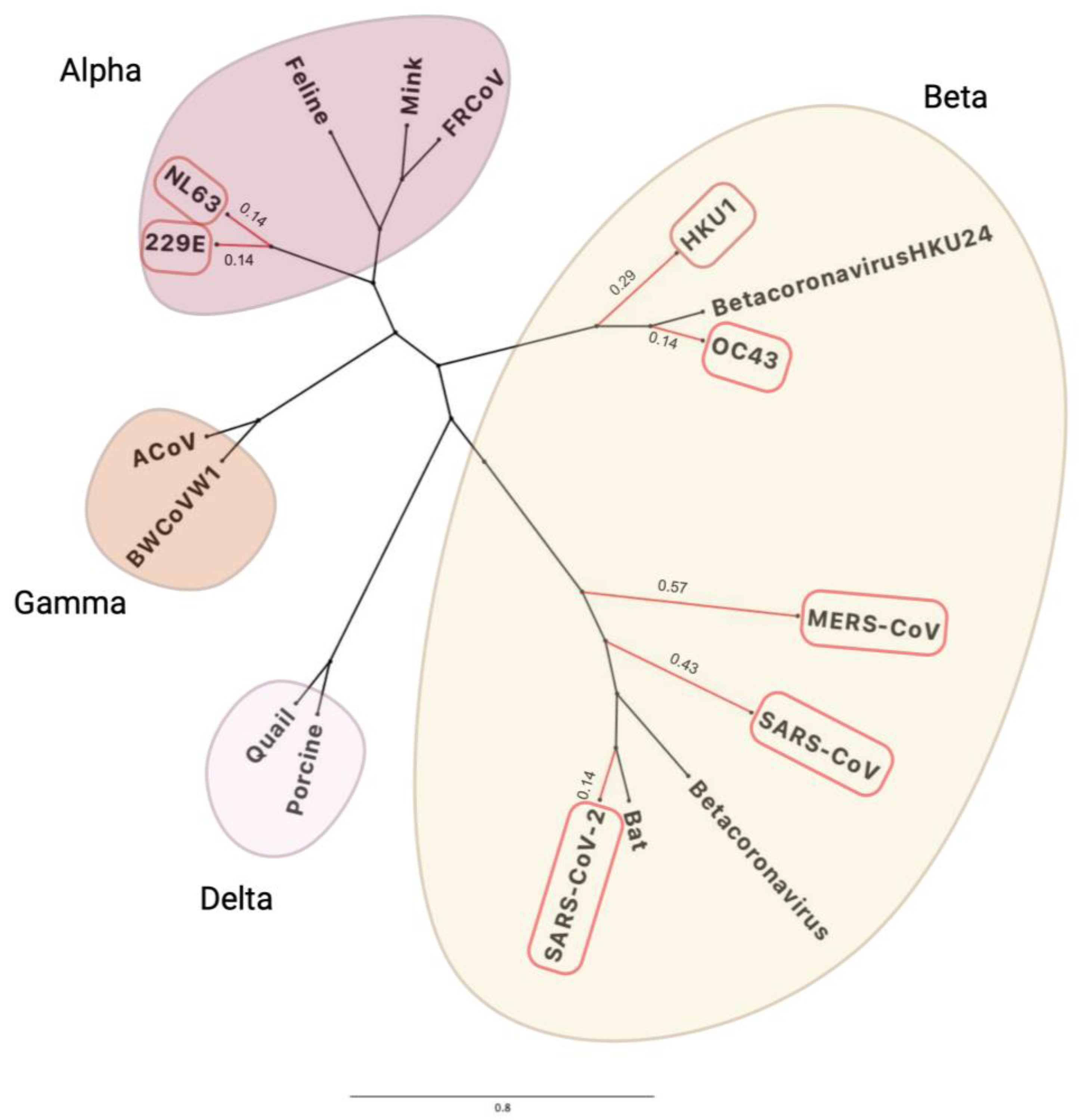 Viruses 16 00156 g002