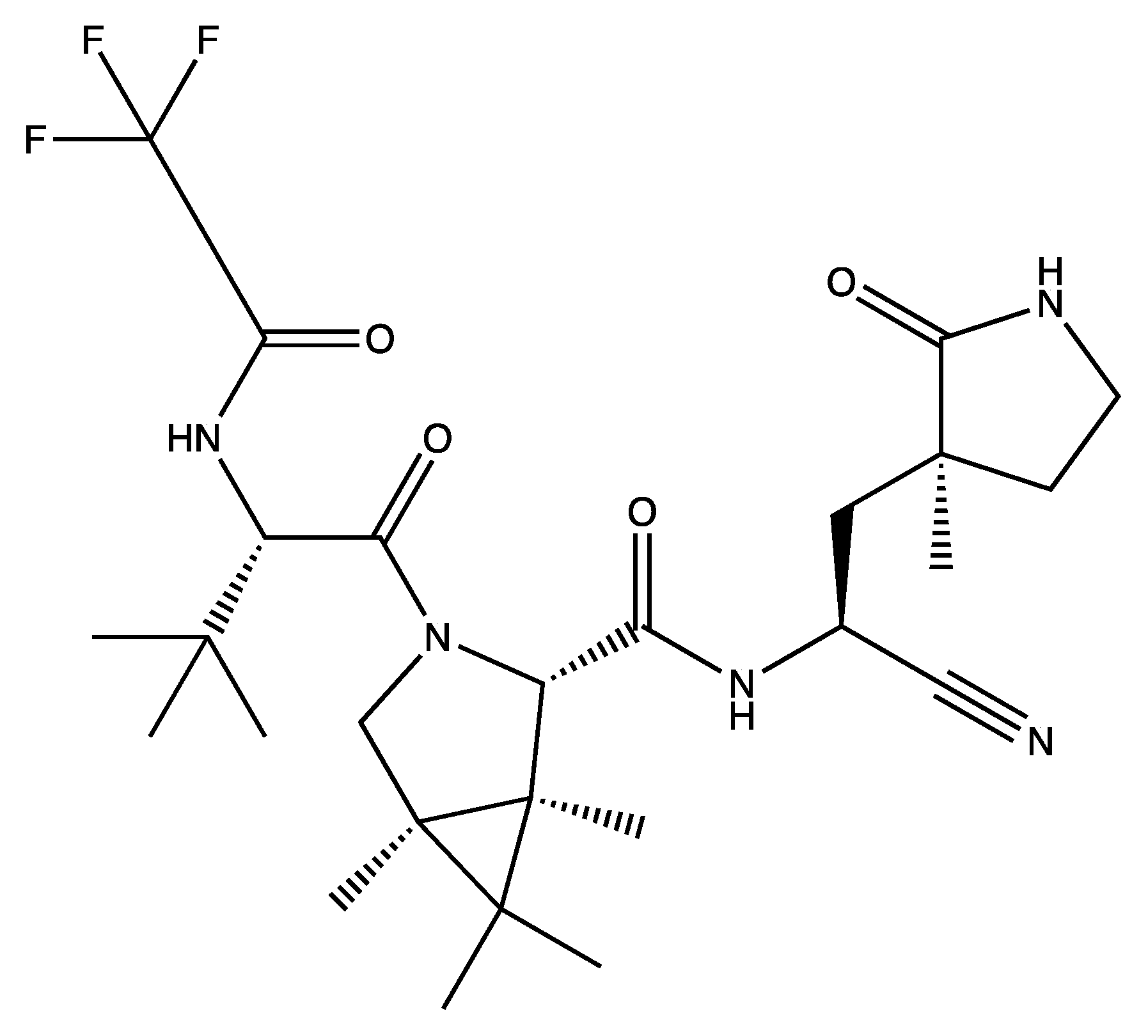 Viruses 16 00156 g008
