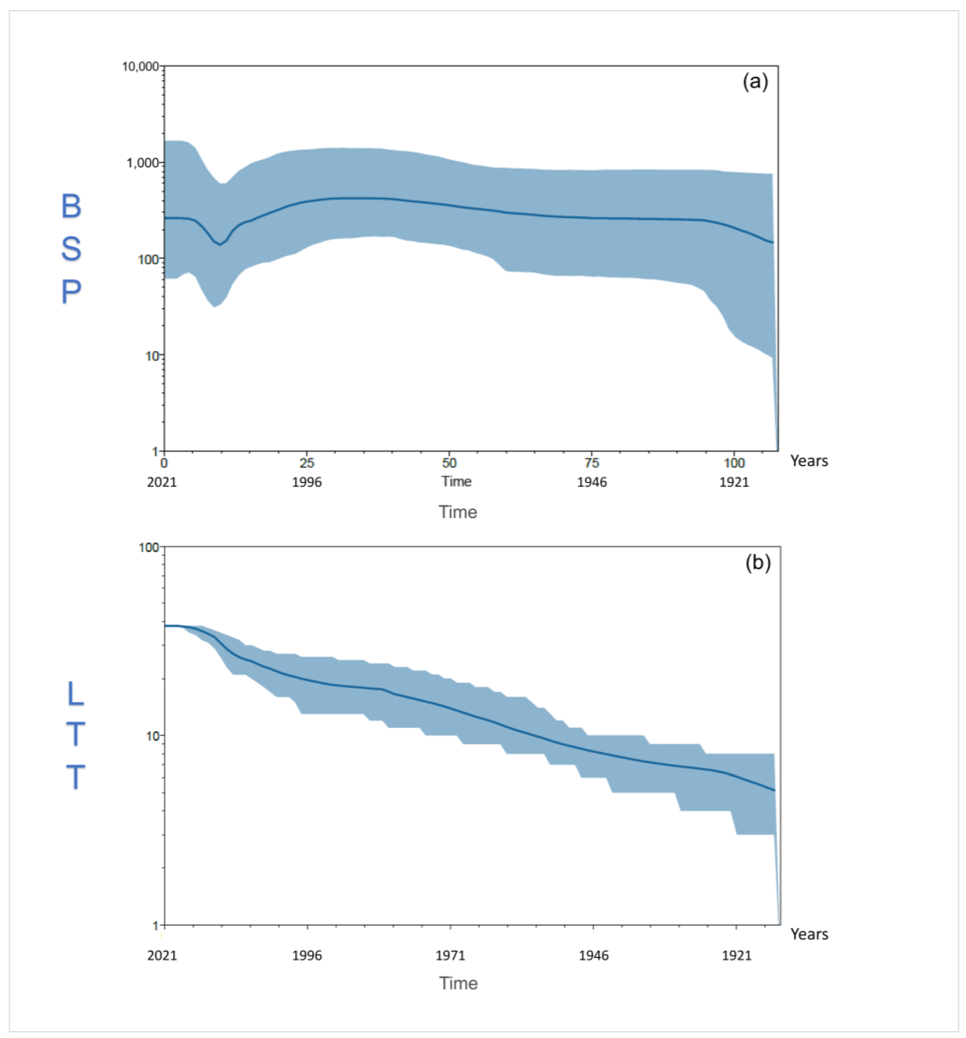 Viruses 16 00158 g006