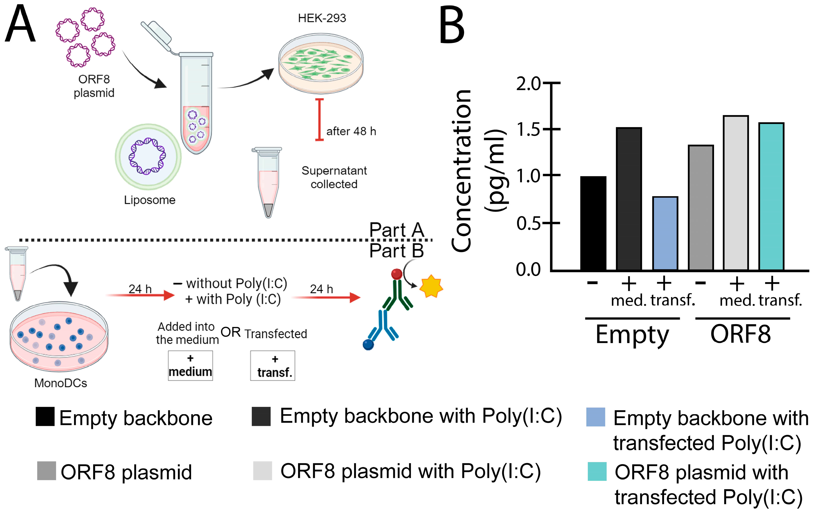 Viruses 16 00161 g003