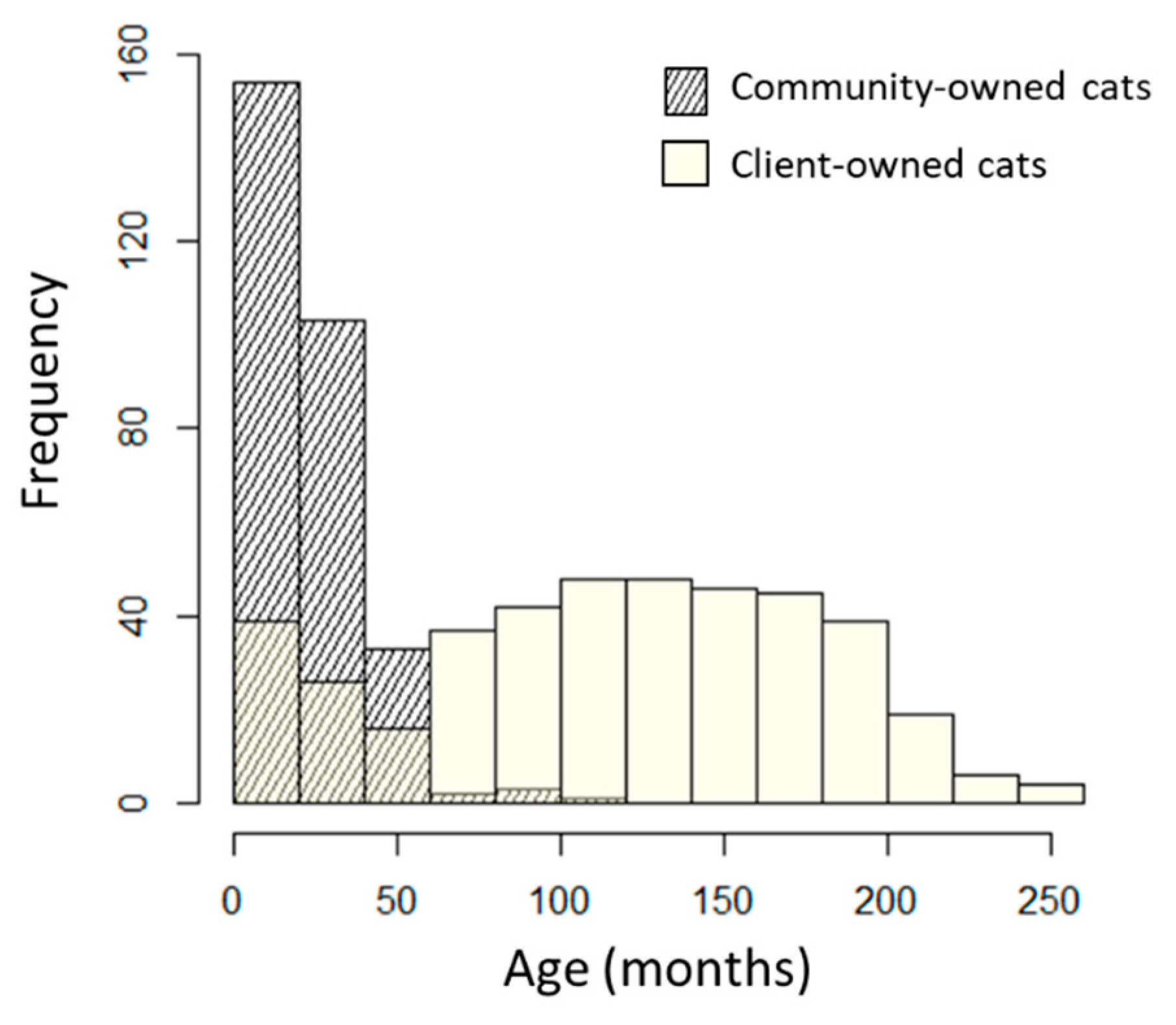 Viruses 16 00167 g001
