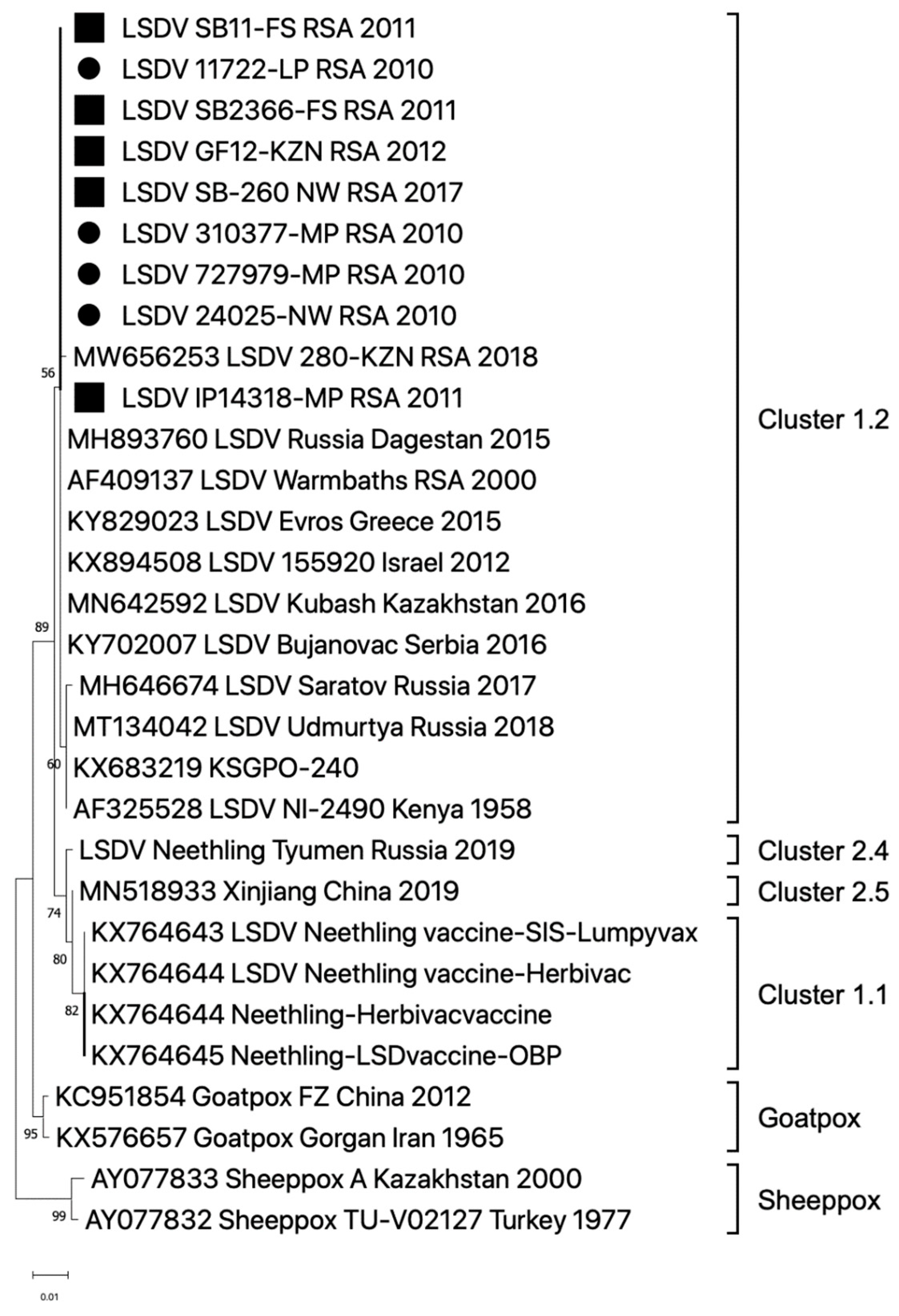 Viruses 16 00172 g003