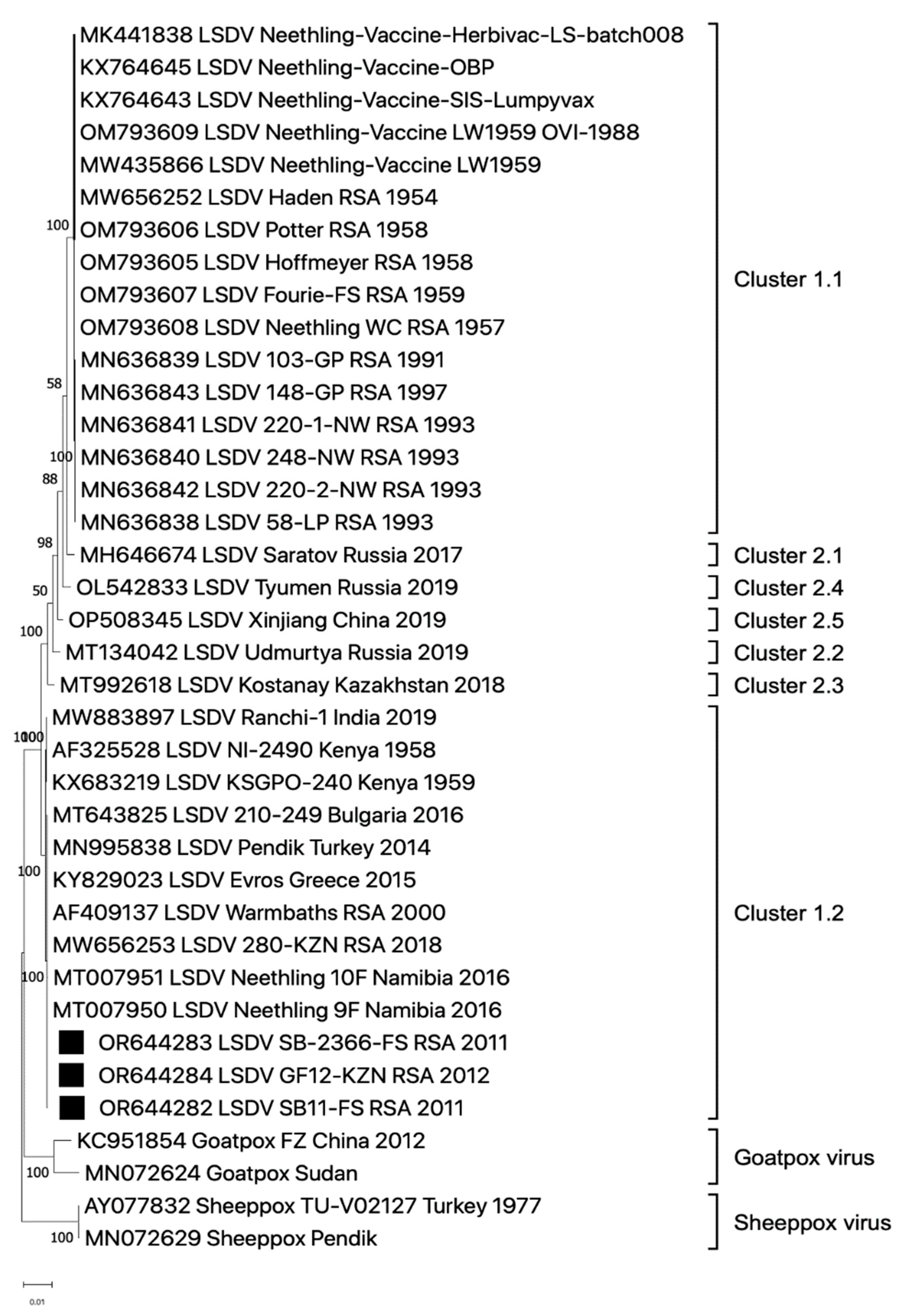 Viruses 16 00172 g004