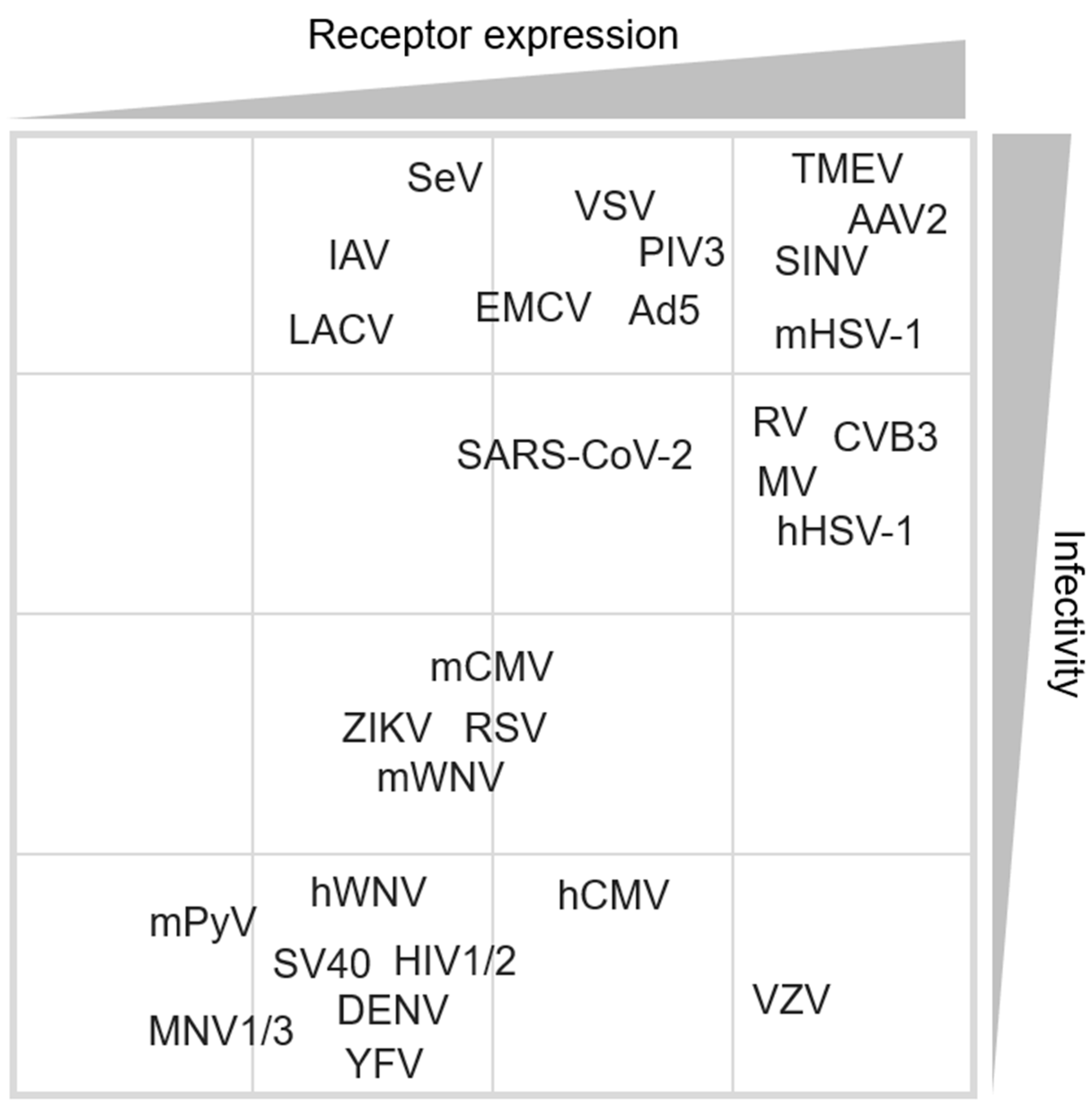 Viruses 16 00173 g002 Viruses 16 00173 g002