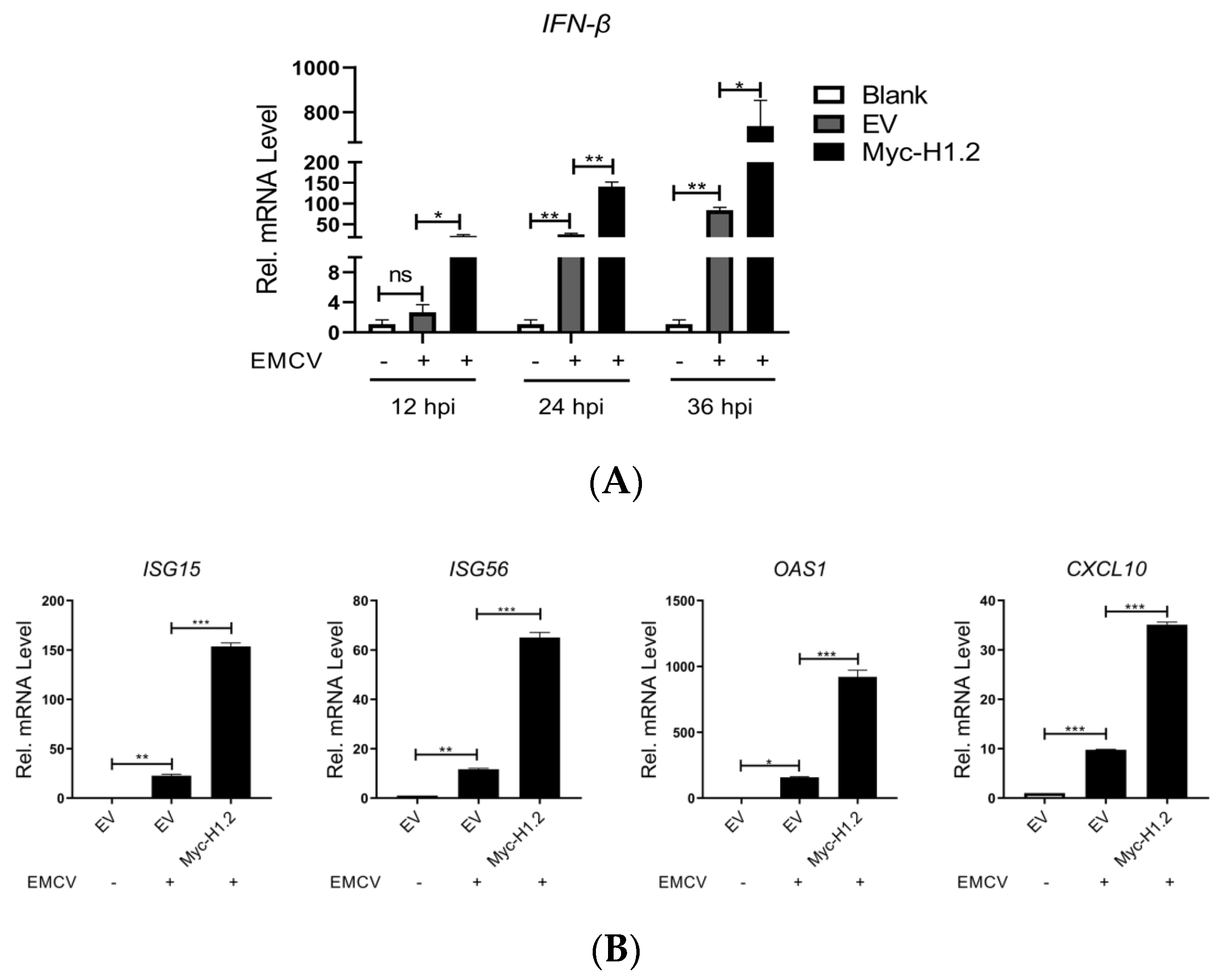 Viruses 16 00174 g003