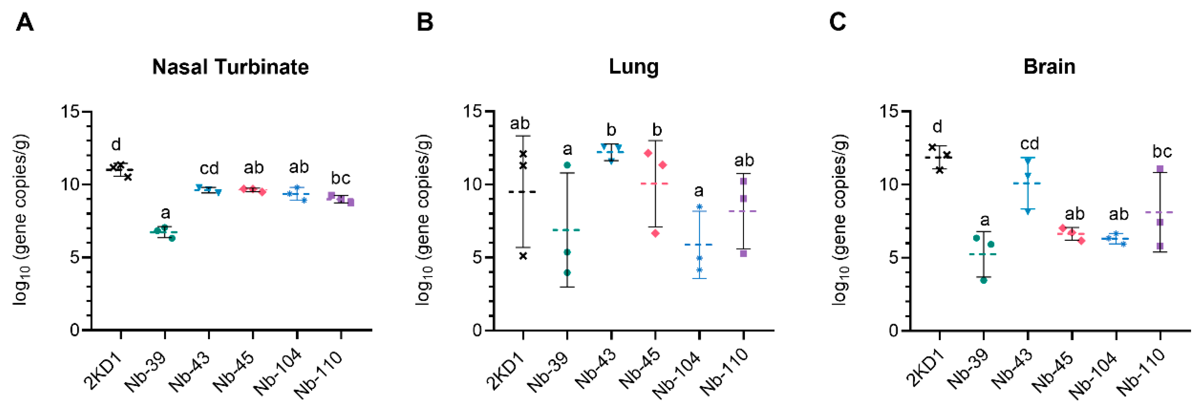 Viruses 16 00185 g007