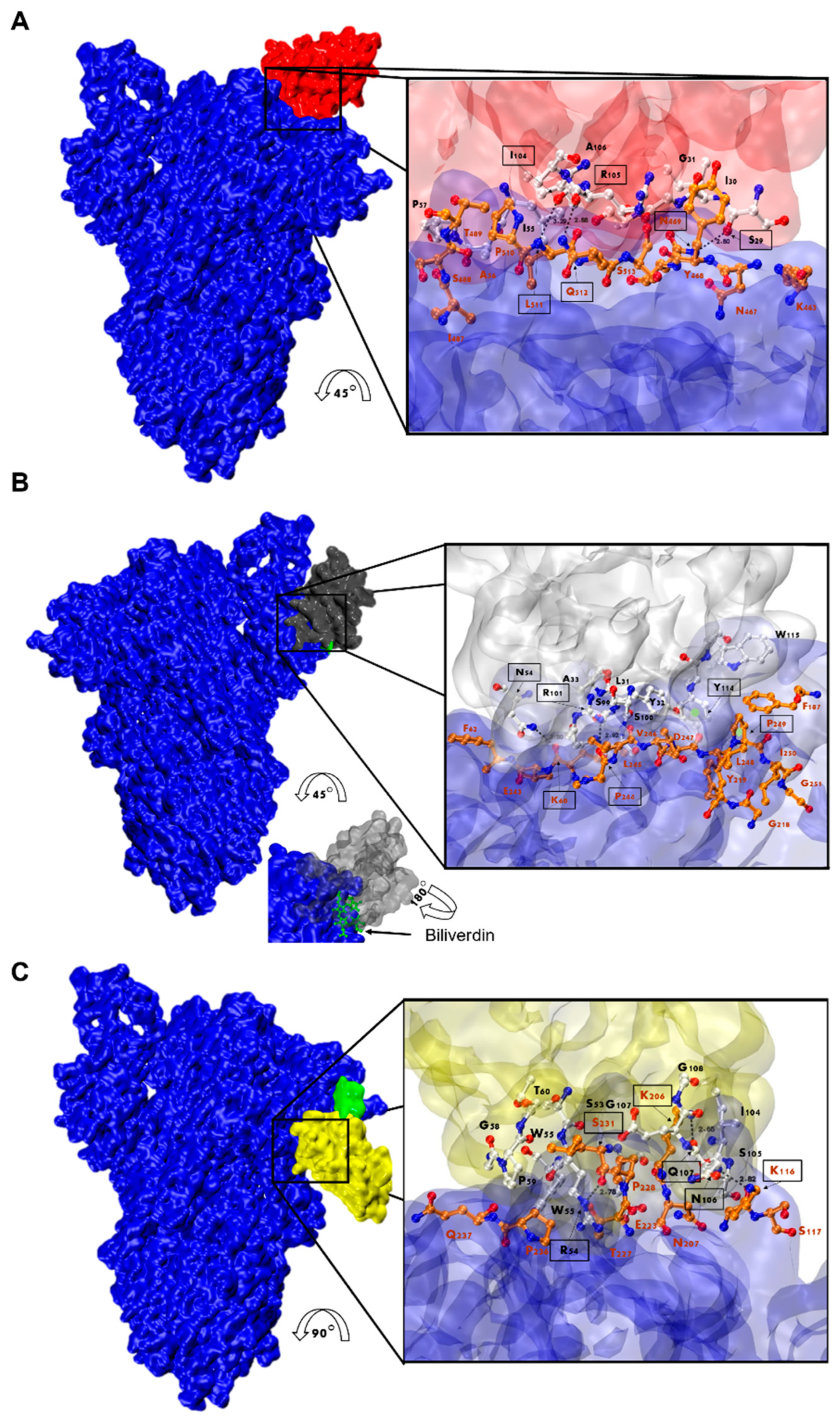 Viruses 16 00185 g009