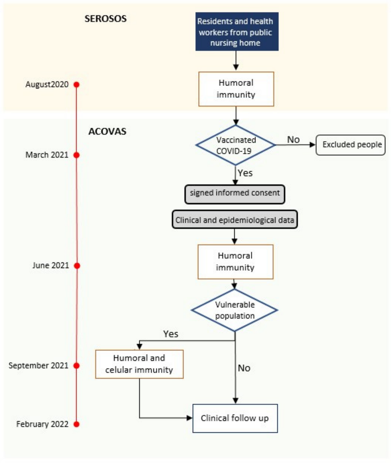 Viruses 16 00186 g001