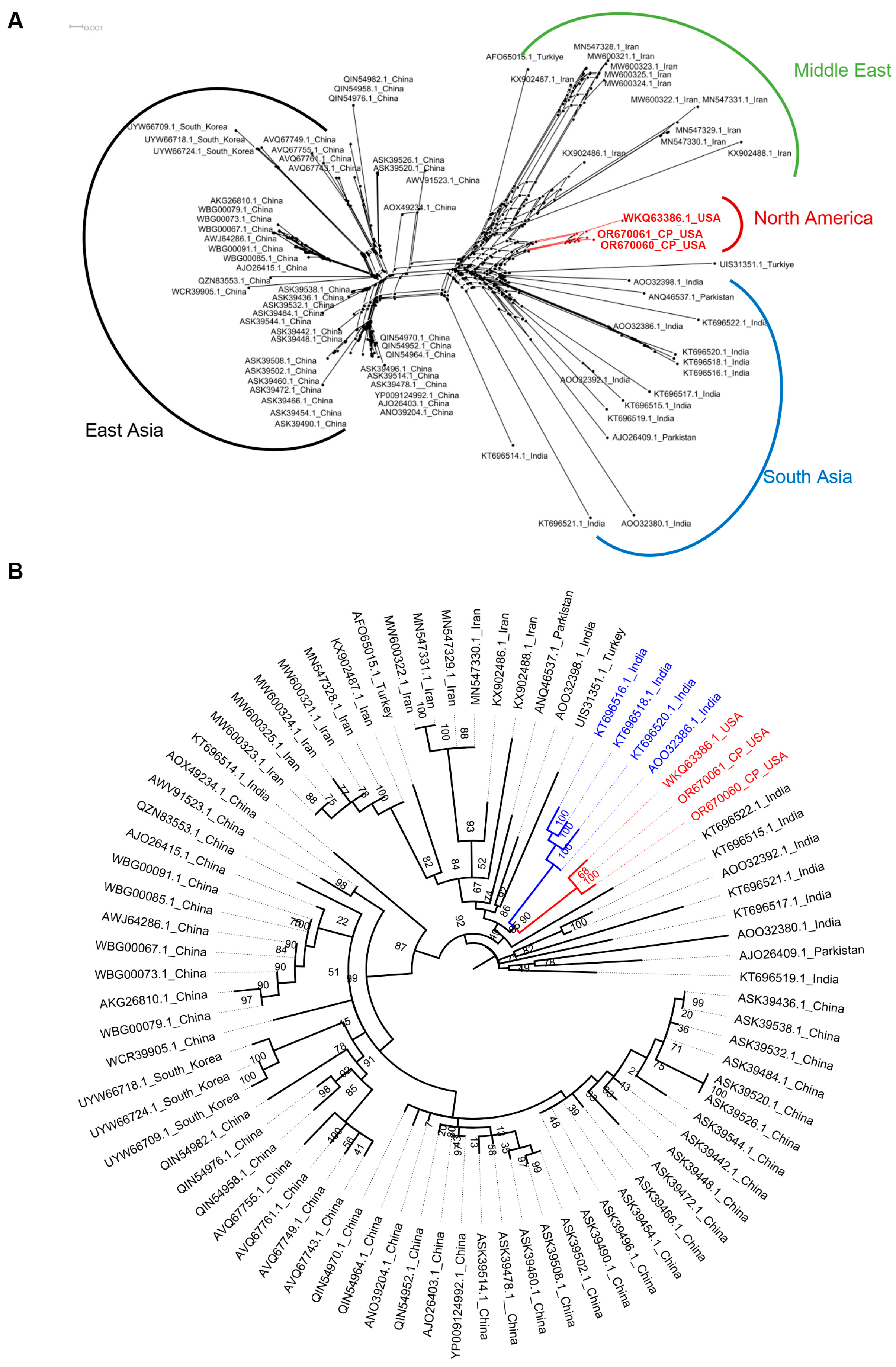 Viruses 16 00188 g004