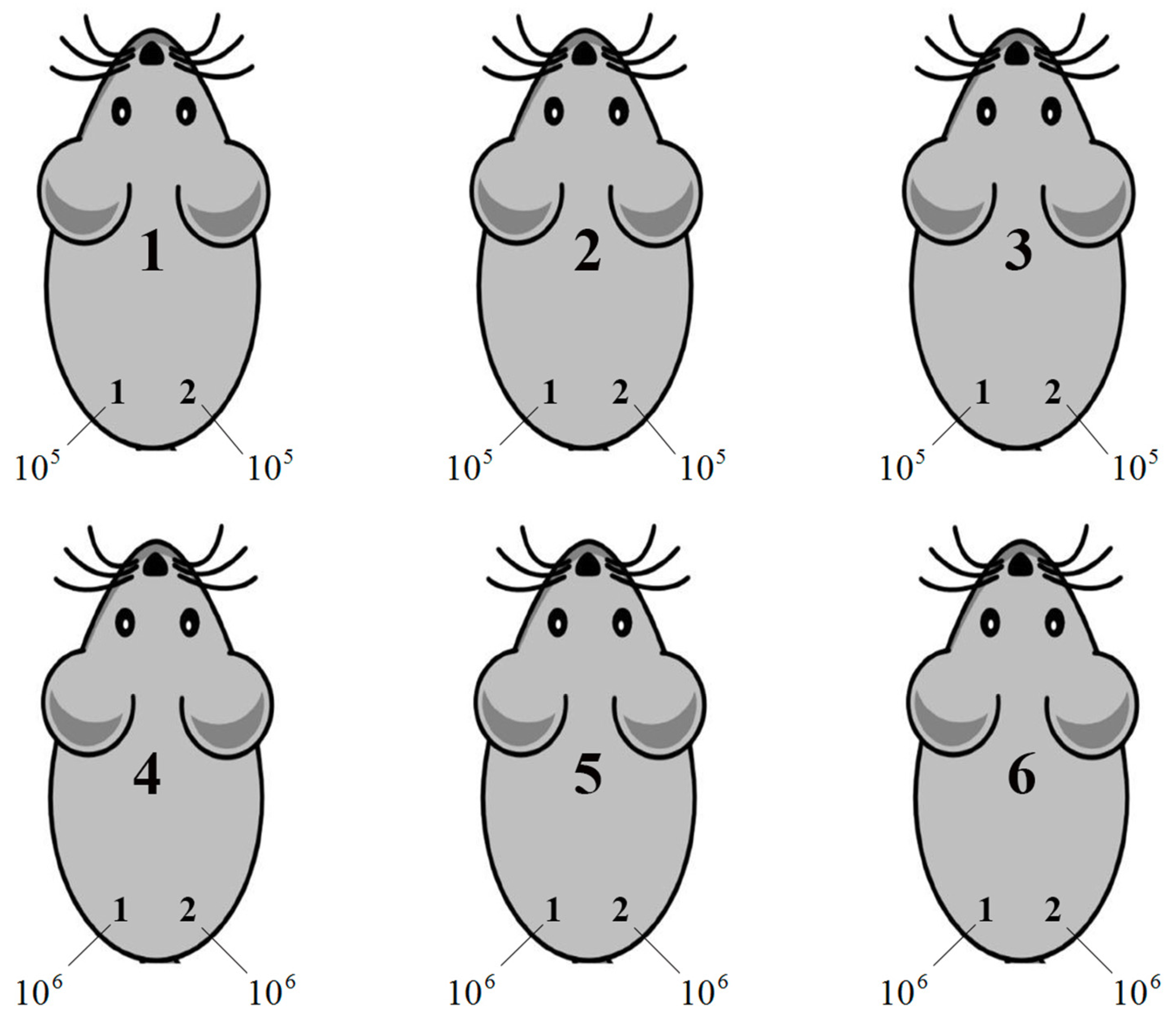 siberian mouse nude. 2014 