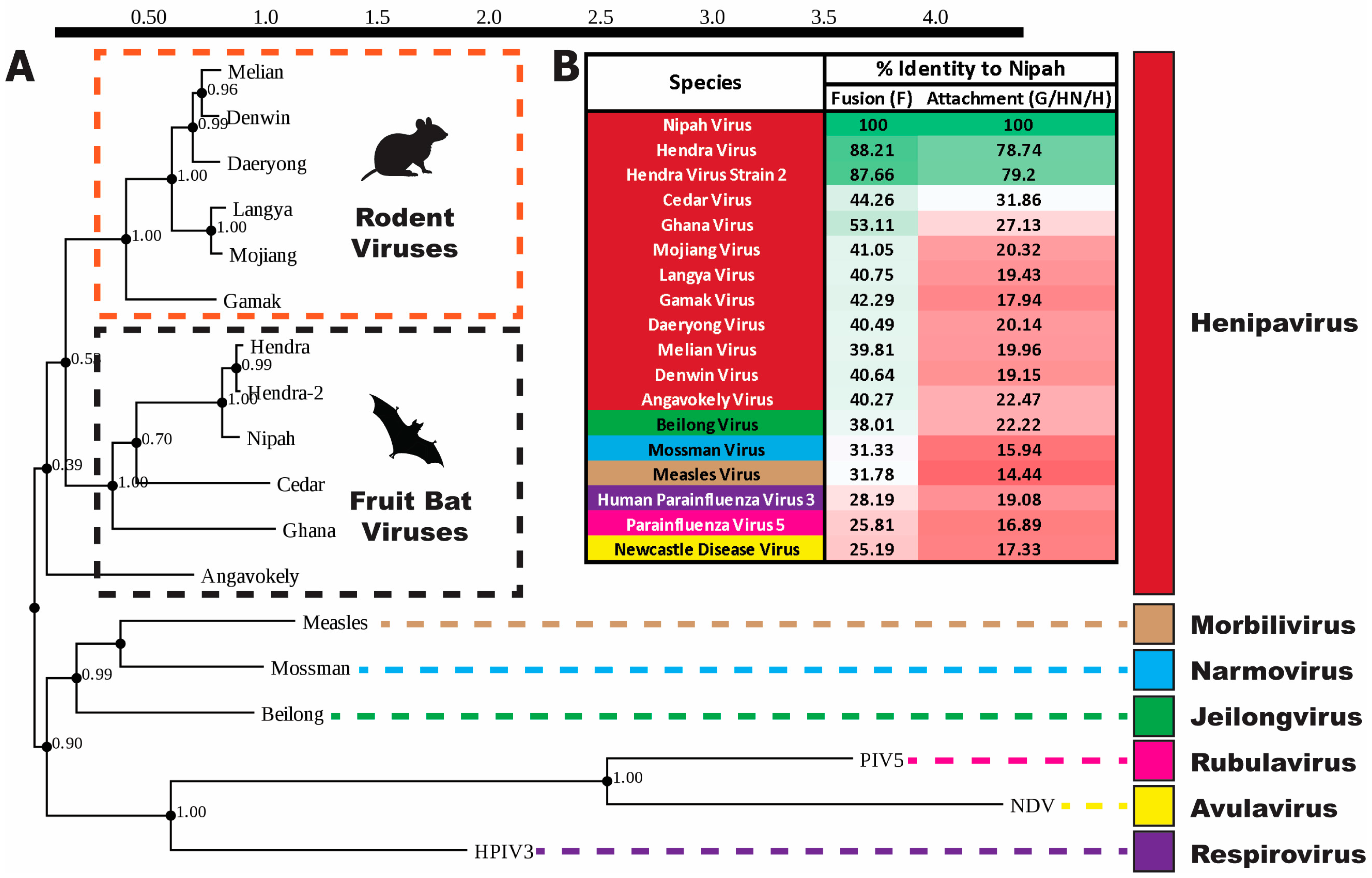 Viruses 16 00195 g002